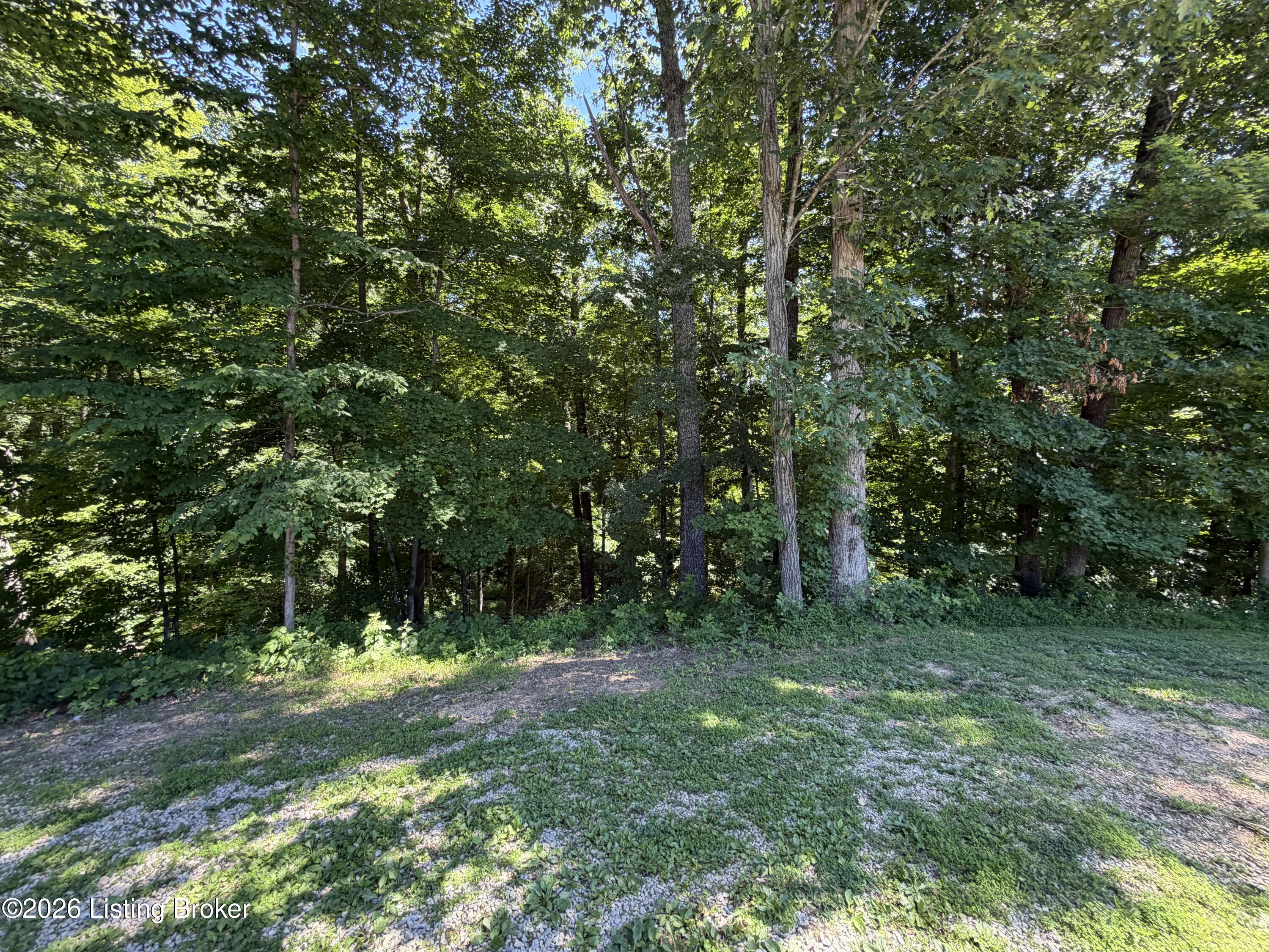 336 Gonza Clark Rd Property Photo 65