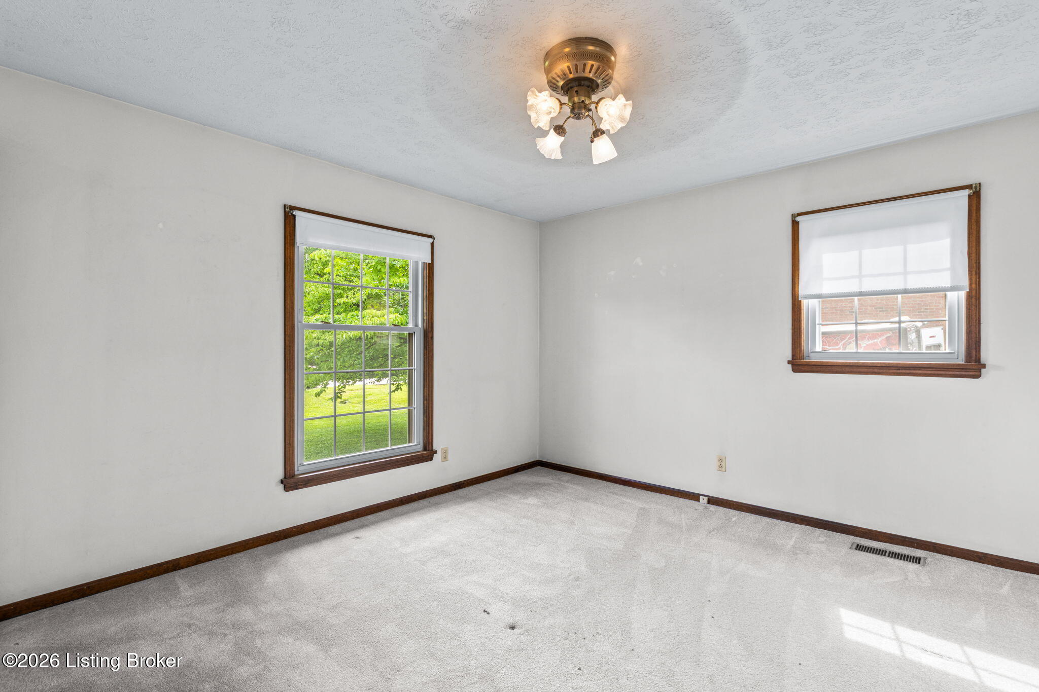 165 Wyndingbrook Dr Property Photo 22