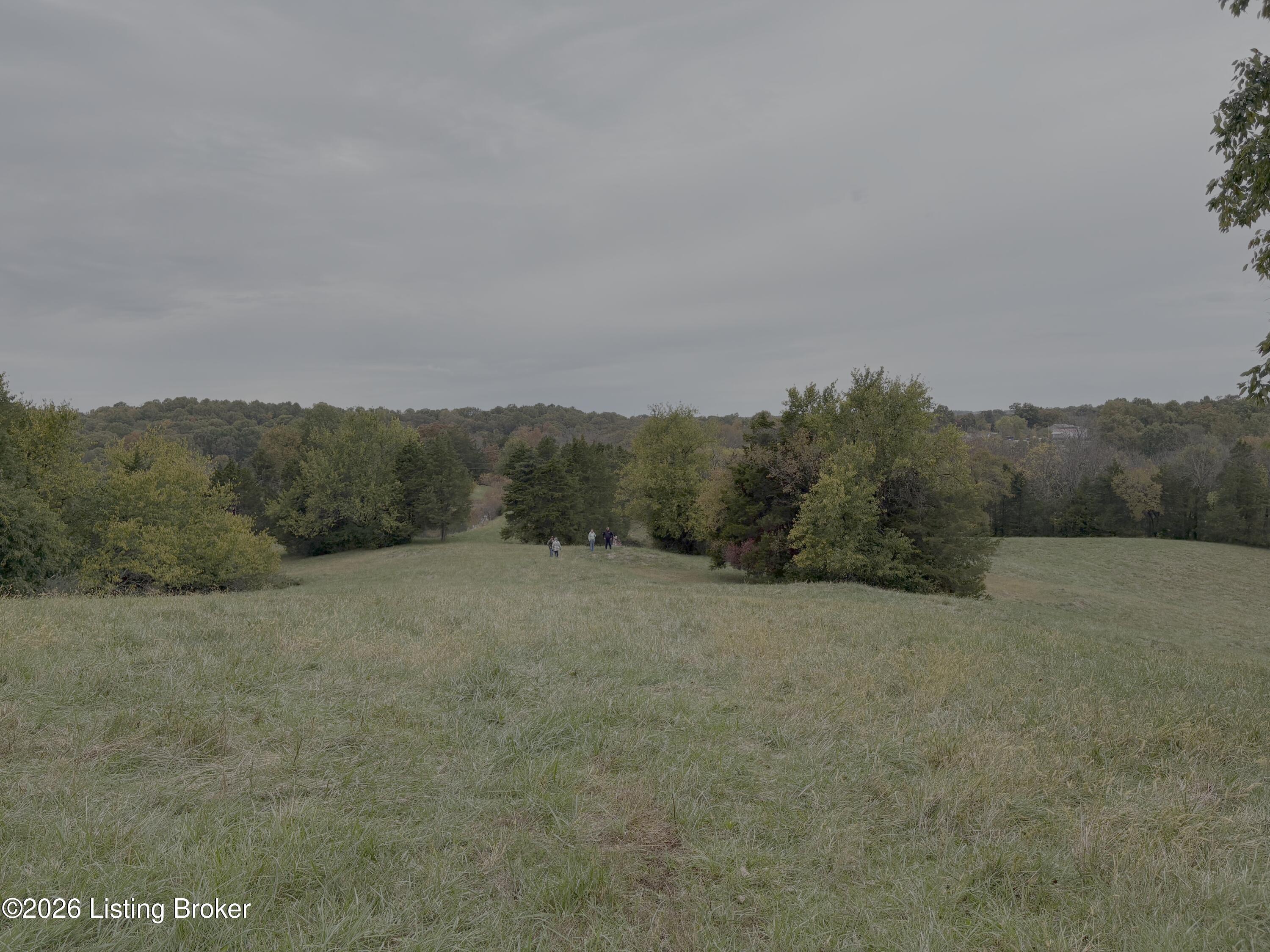 00 Beechridge Rd Property Photo 29