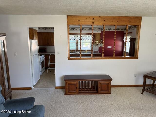 617 Mulberry Pike Property Photo 15