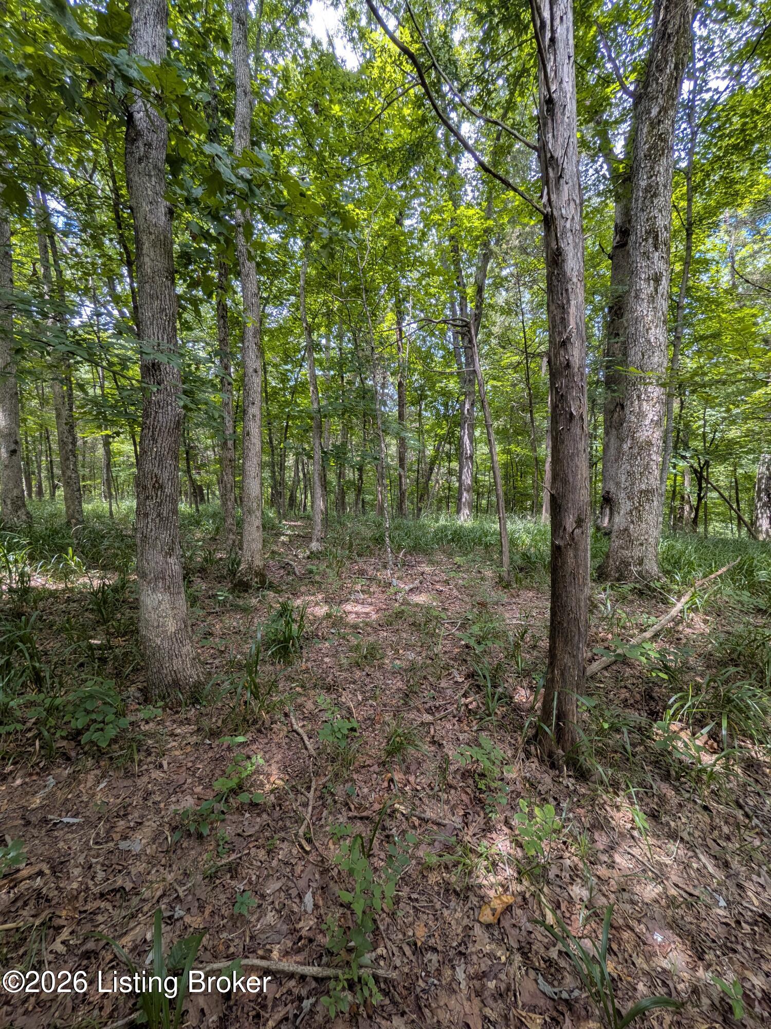 0 Valley Ln Property Photo 1