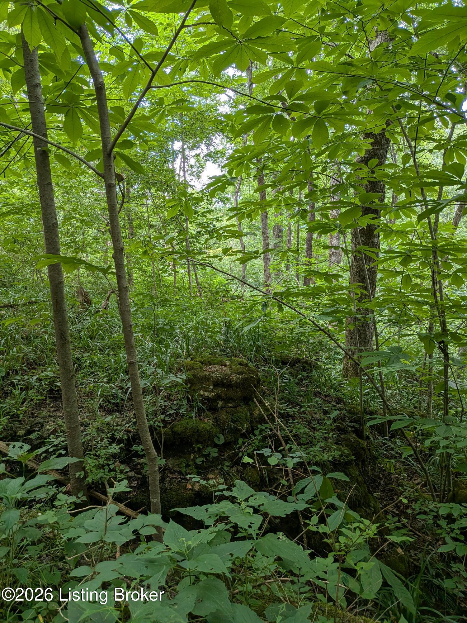 0 Valley Ln Property Photo 3