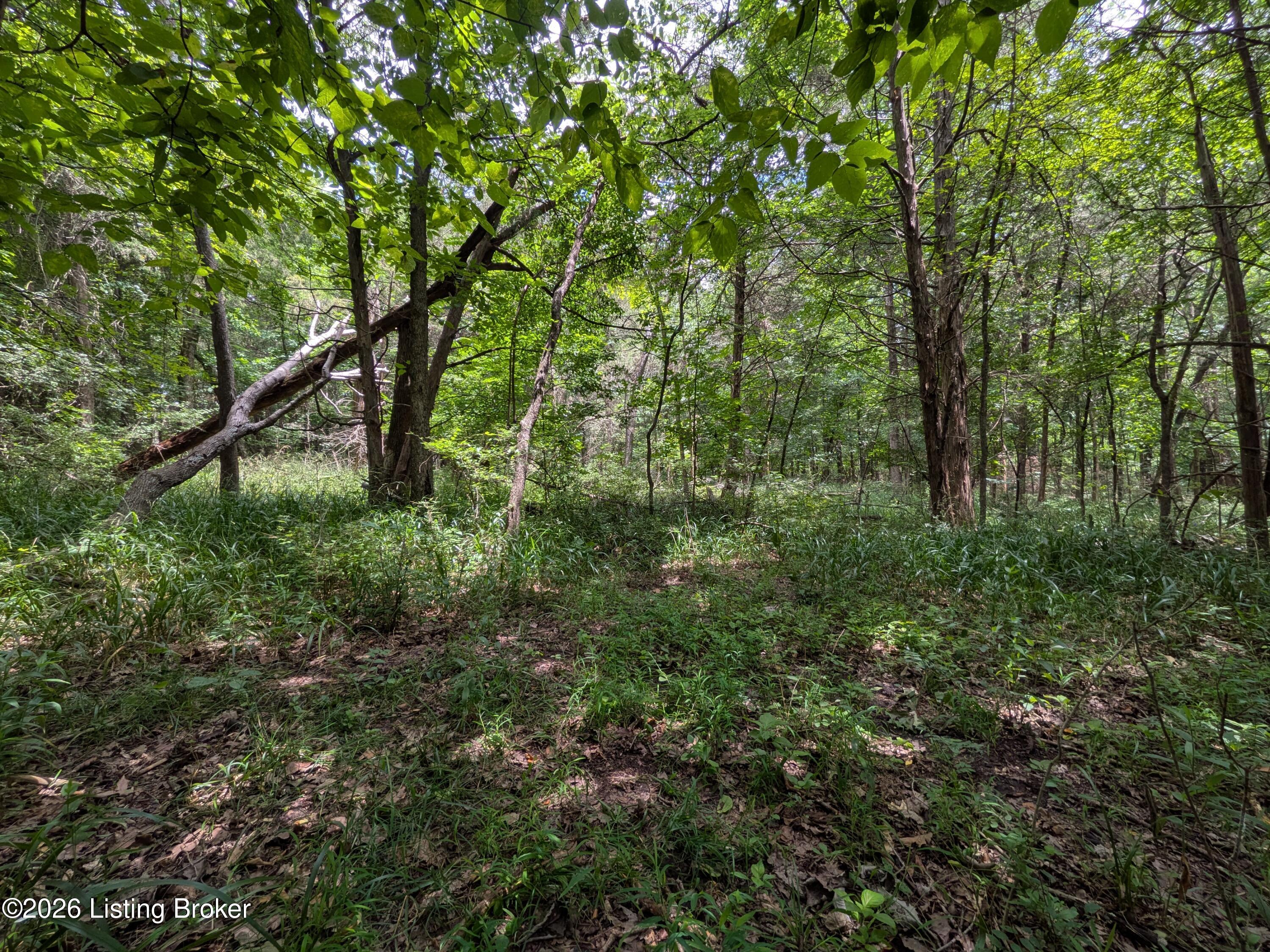 0 Valley Ln Property Photo 5