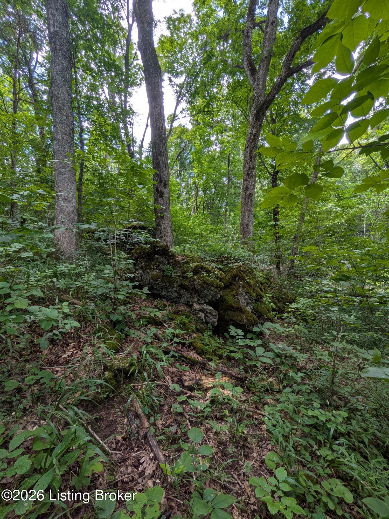 0 Valley Ln Property Photo 6