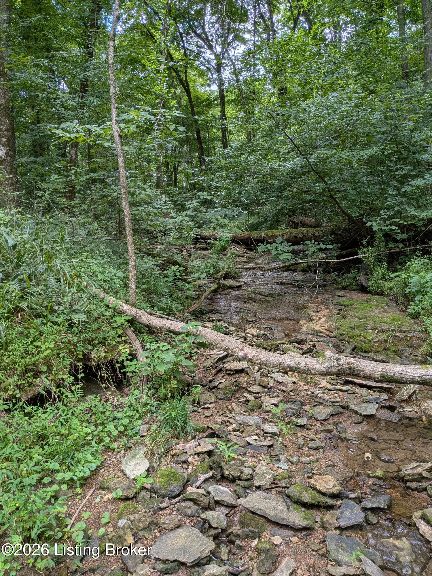 0 Valley Ln Property Photo 8