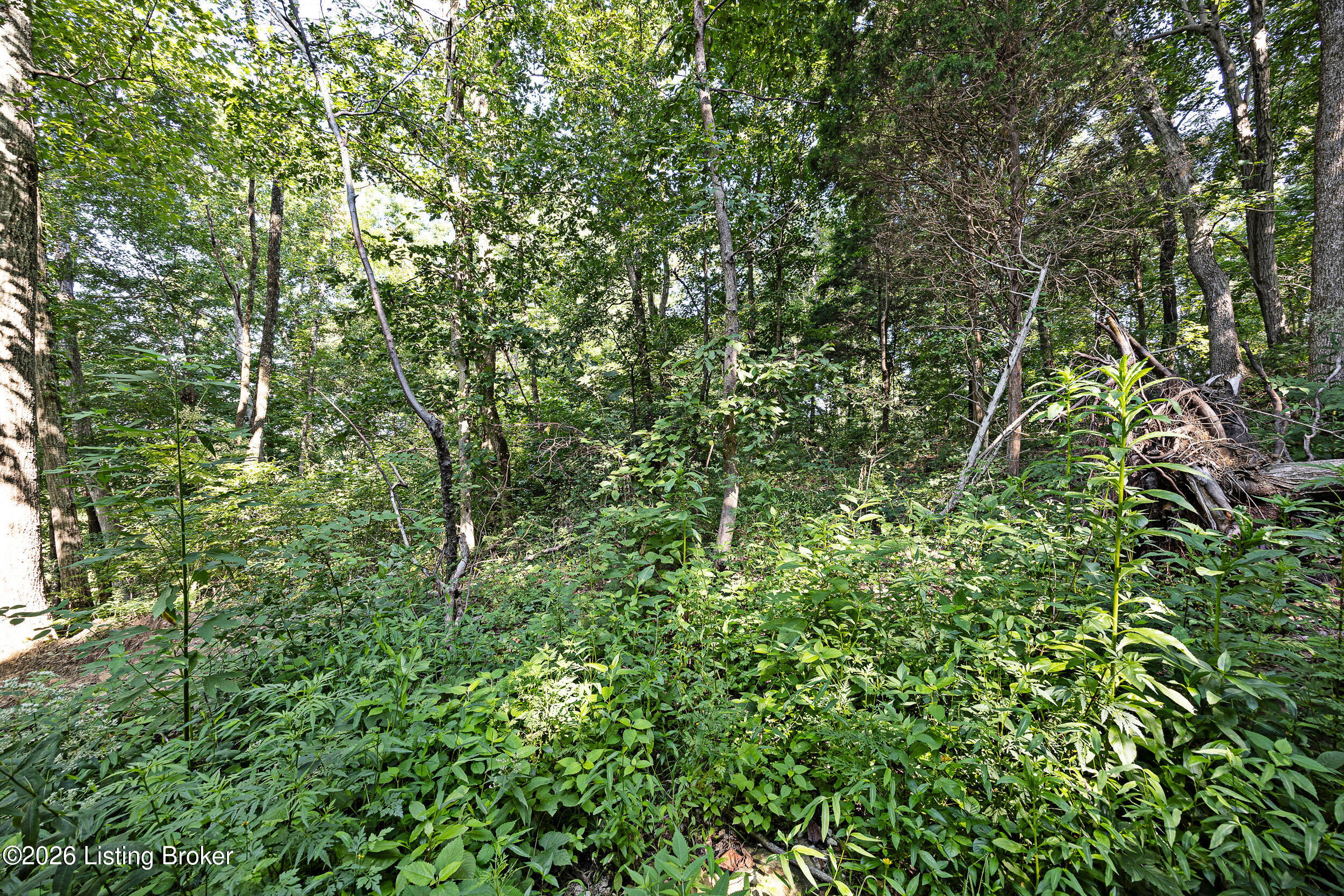 620 Lee Miller Rd Property Photo 19