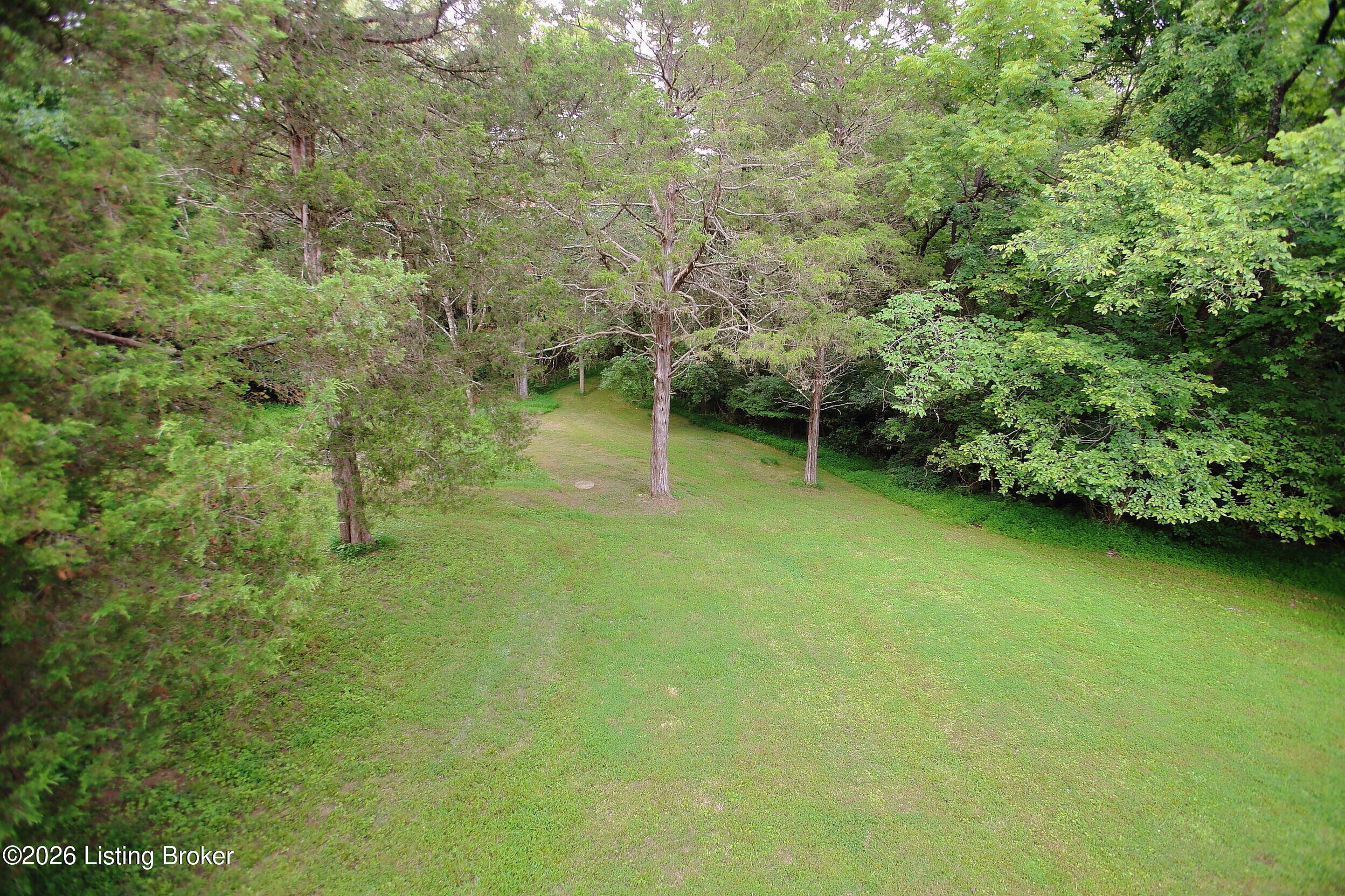 3107 Thoroughbred Ct Property Photo 41