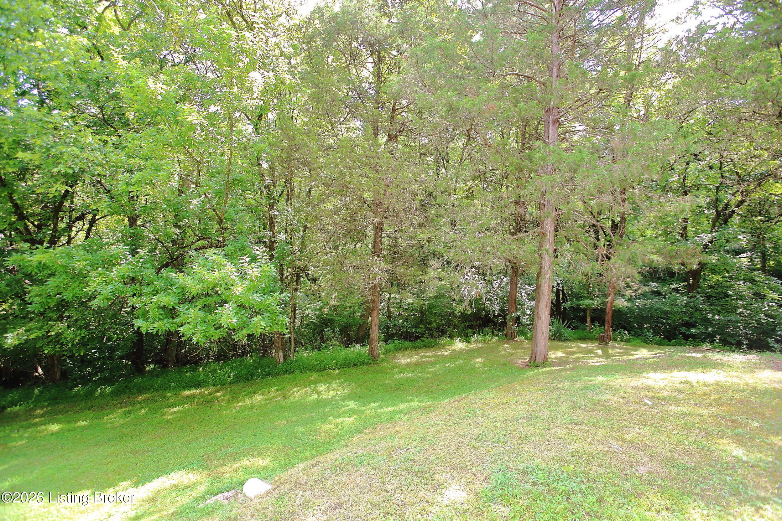 3107 Thoroughbred Ct Property Photo 45