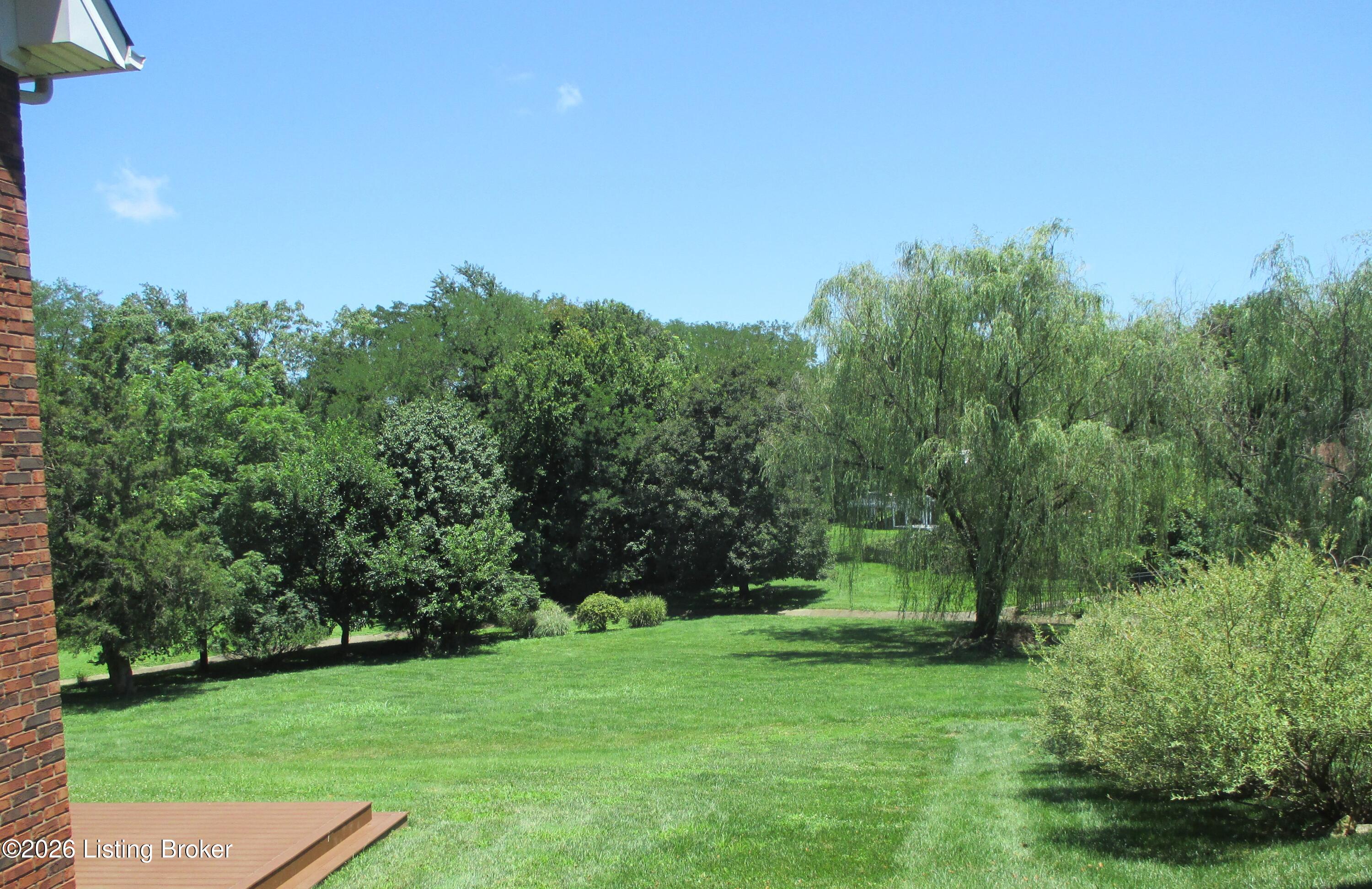 13113 Willow Forest Dr Property Photo 10