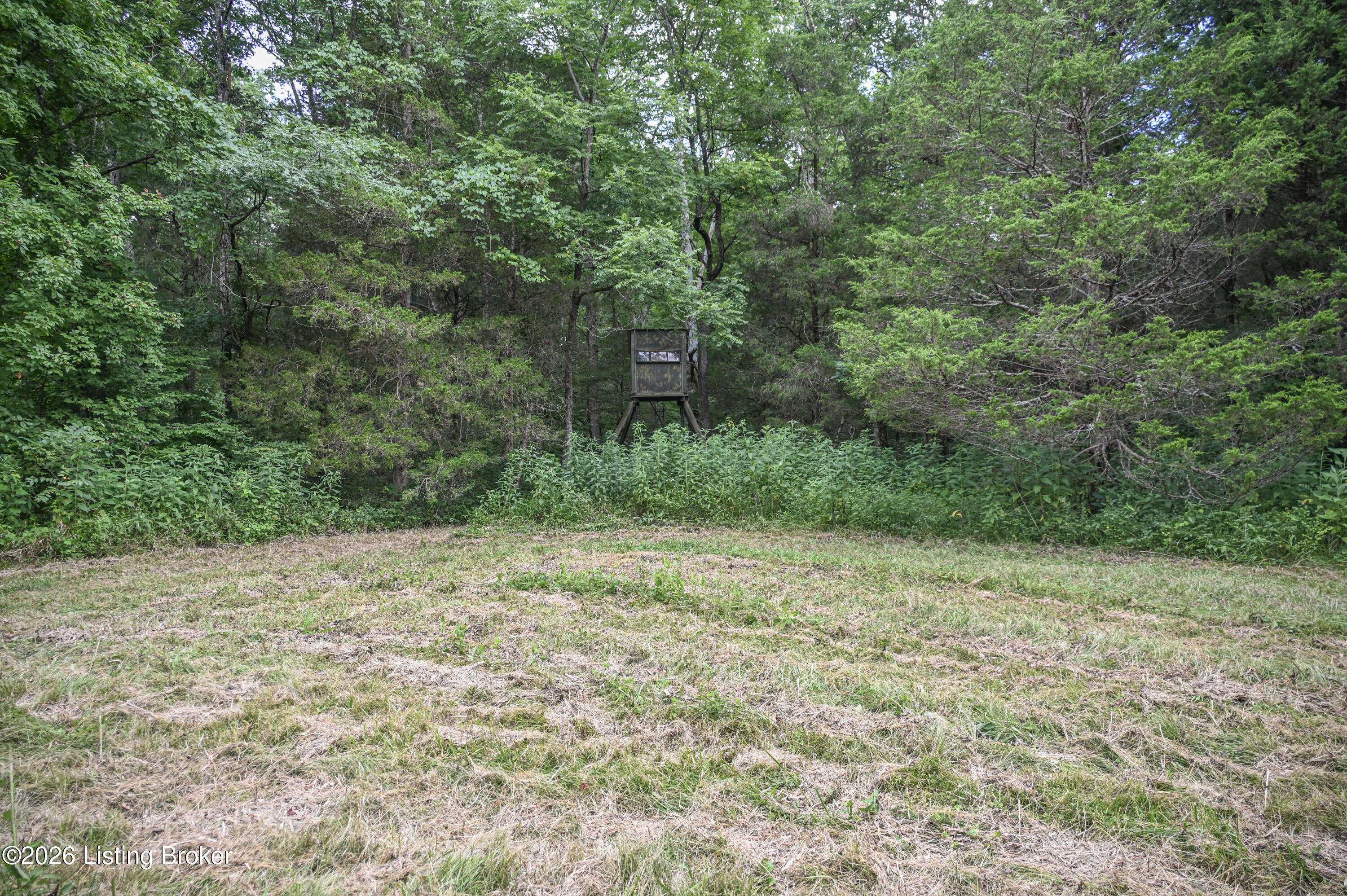 654 Gest Rd Property Photo 28