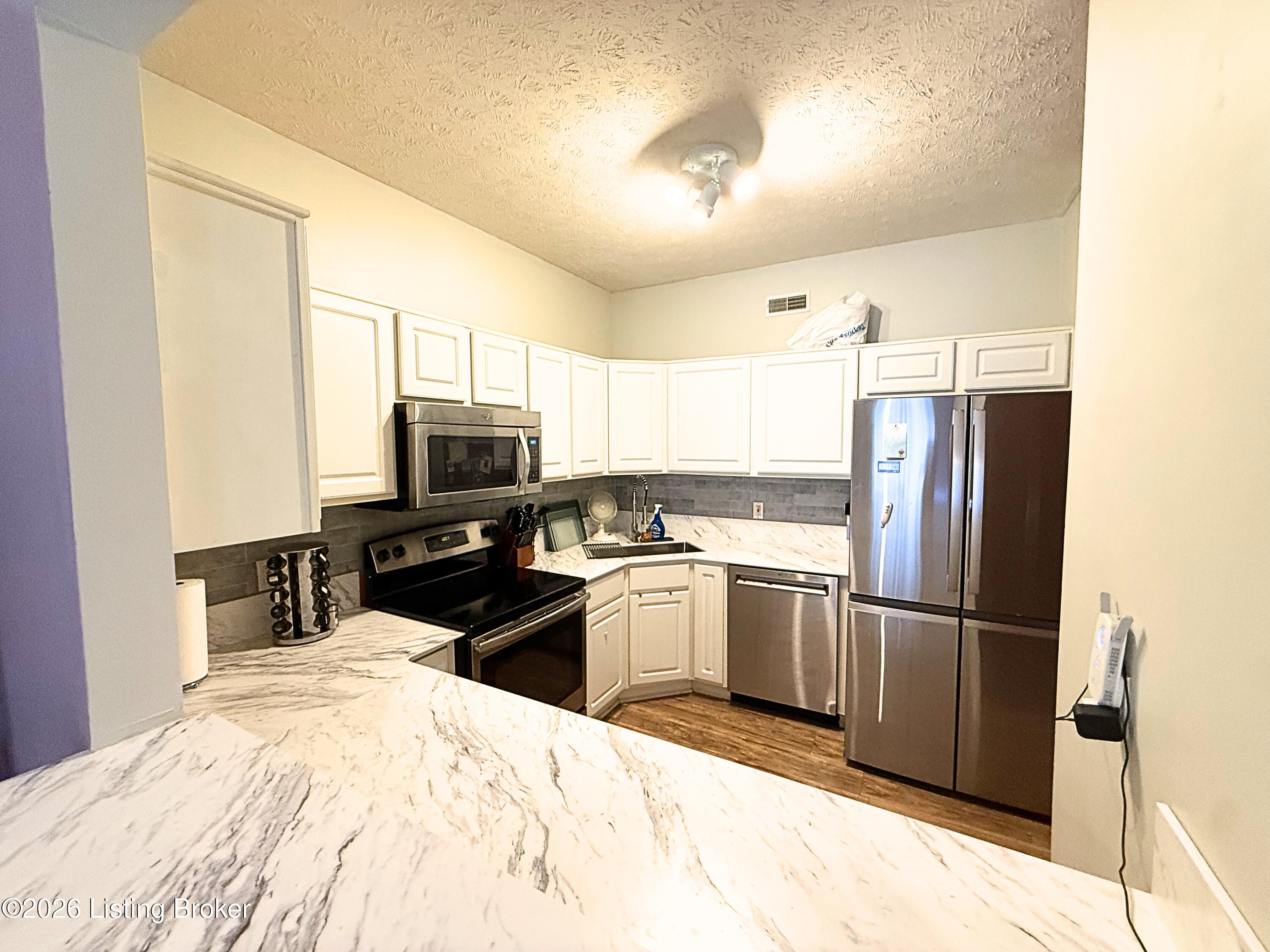 13533 Pinnacle Gardens Cir Property Photo 5
