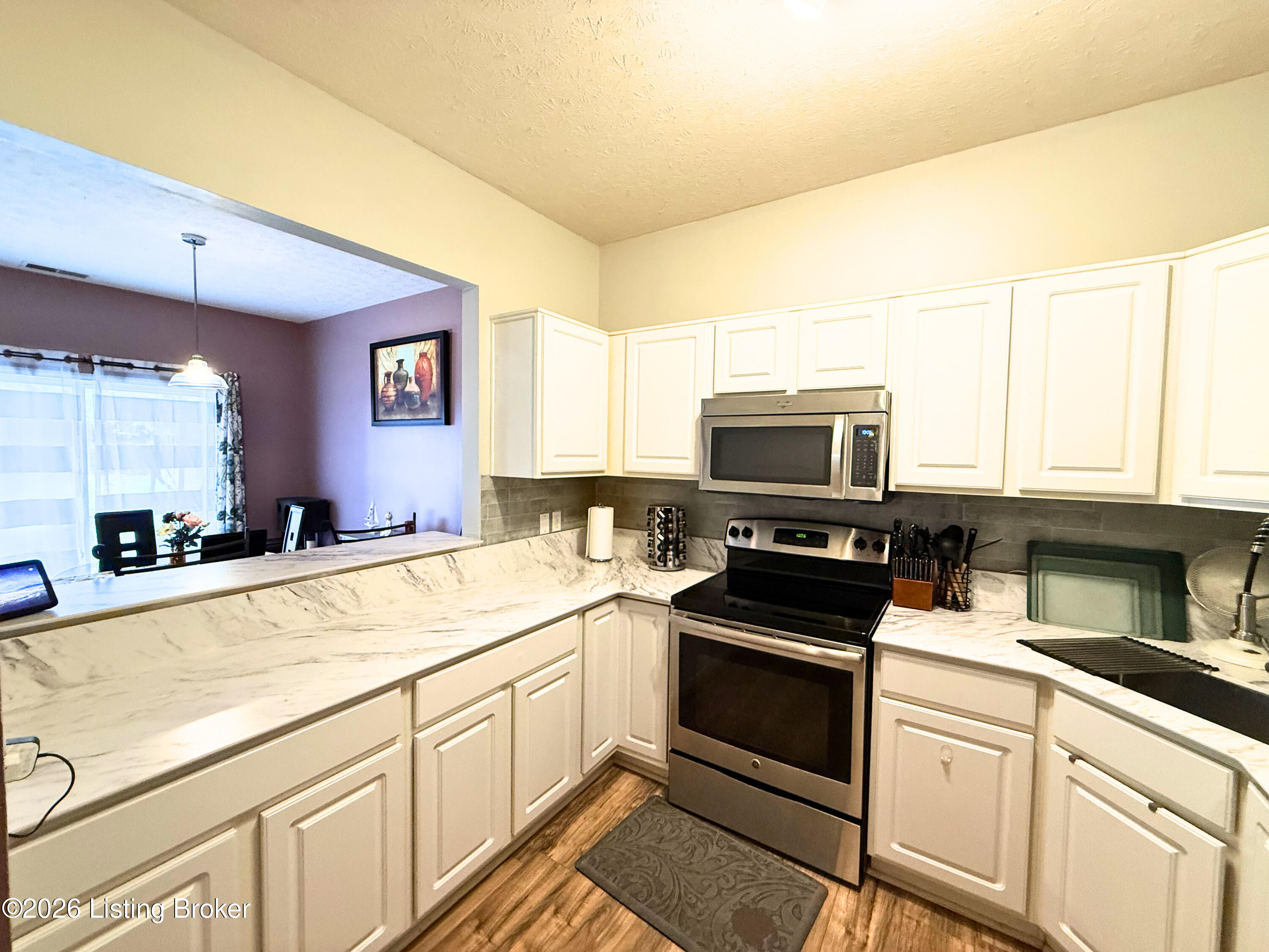 13533 Pinnacle Gardens Cir Property Photo 6