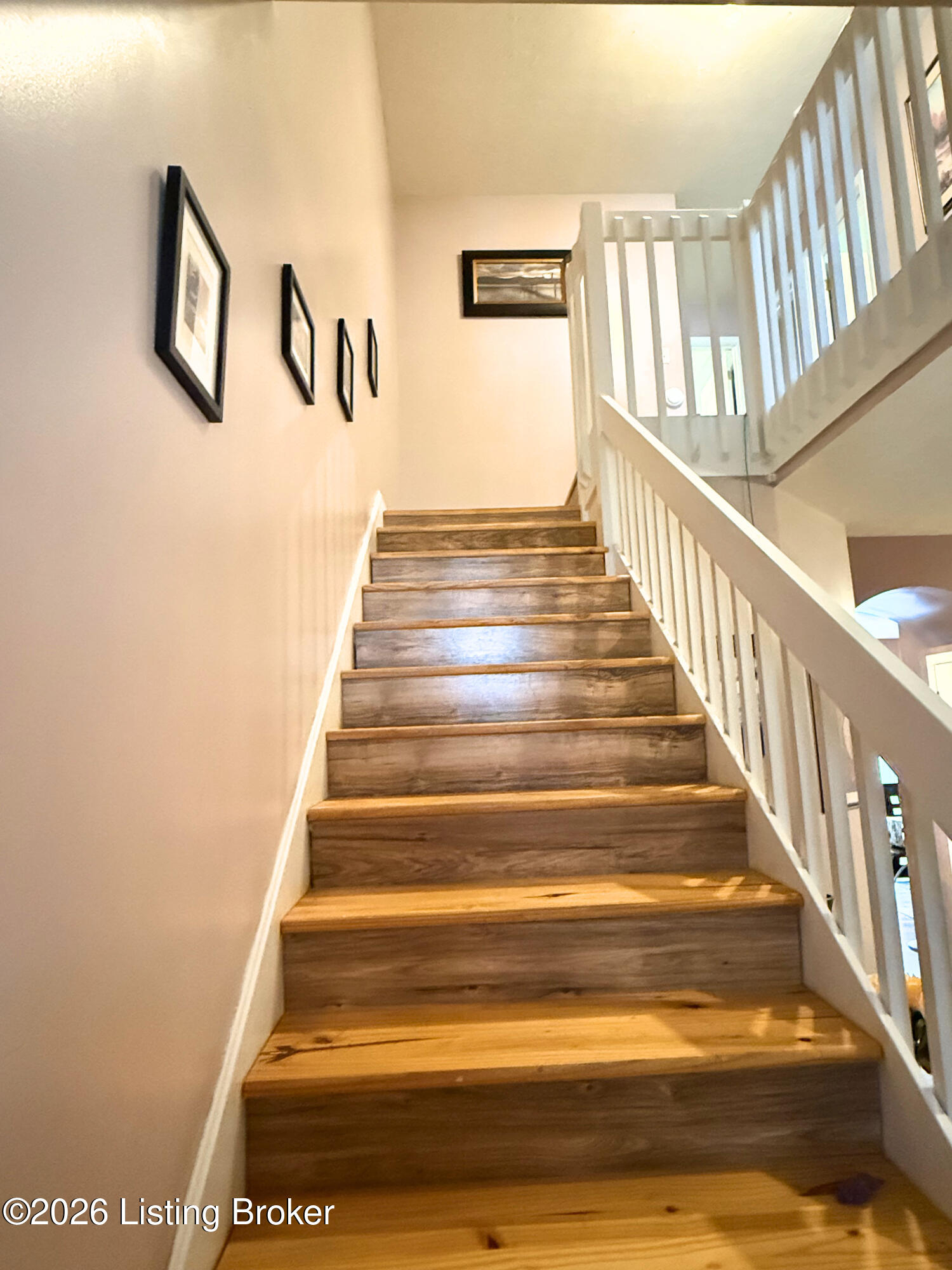 13533 Pinnacle Gardens Cir Property Photo 9
