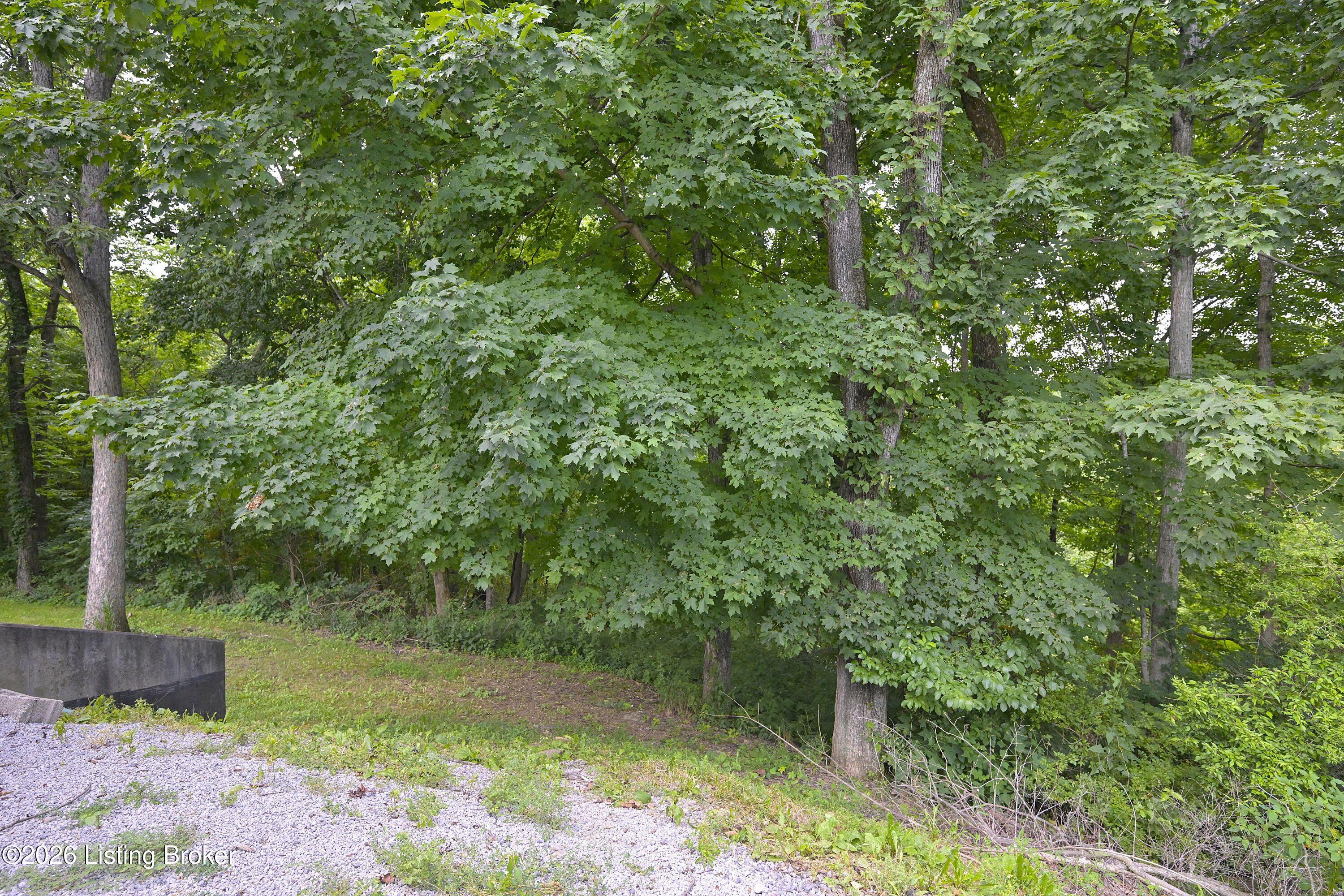 600 Shepherd Ln Property Photo 6