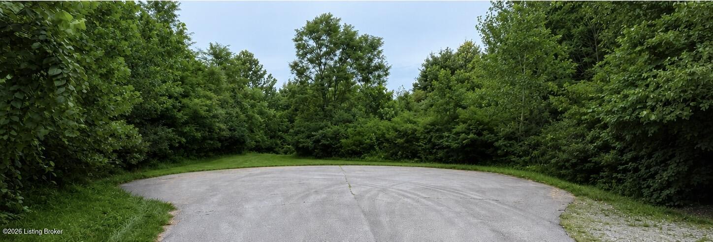 143 Silverview Ct Property Photo 1