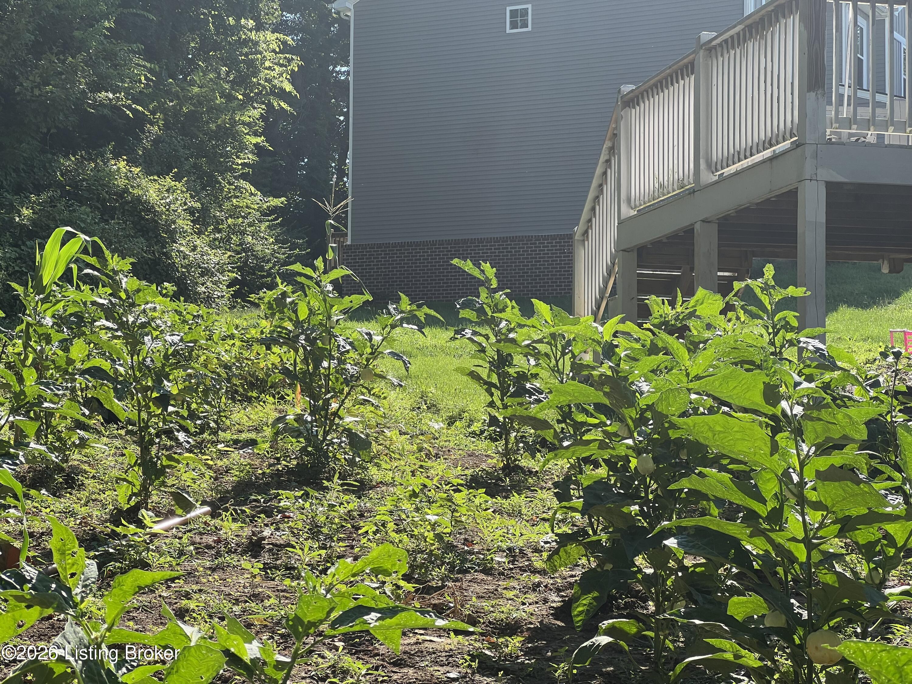 6107 Ledgerock Cove Pl Property Photo 35