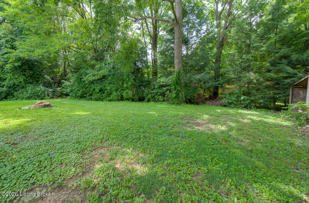 1536 Eskridge Ln Property Photo 36