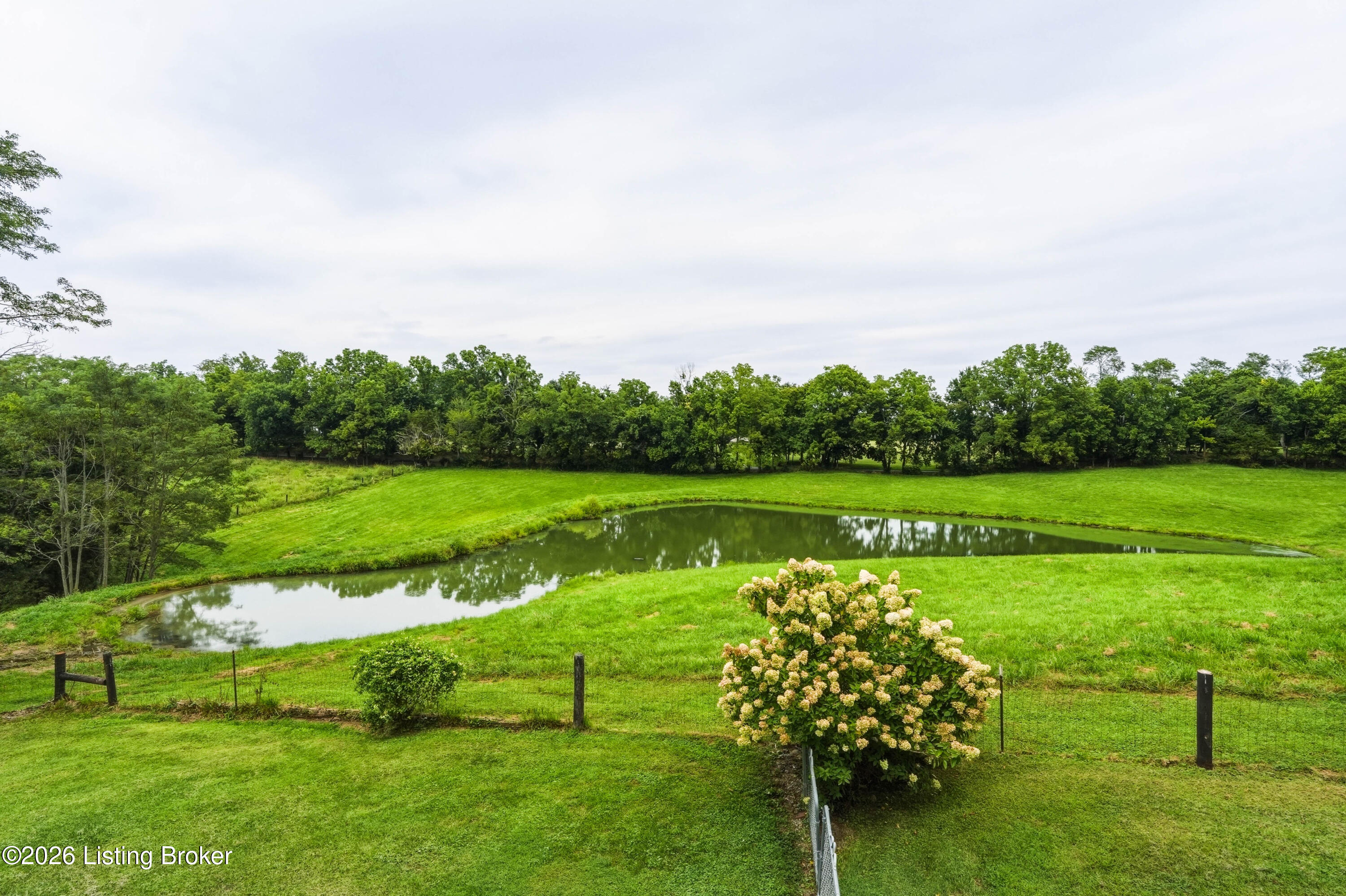 2714 Pea Ridge Rd Property Photo 57