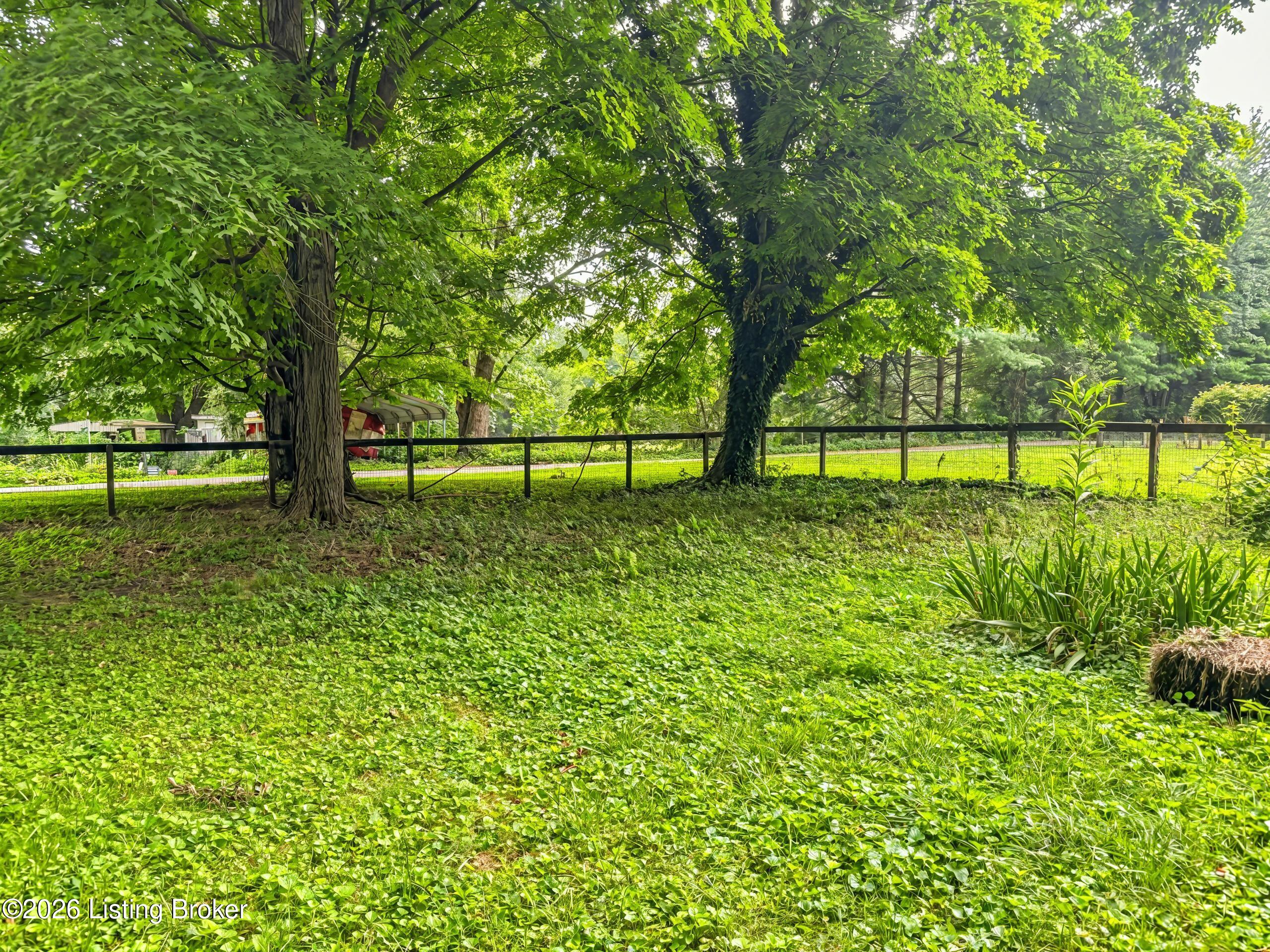 6405 4th St Property Photo 23