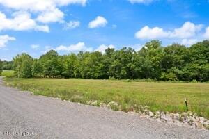 0 Brandenburg Rd Property Photo 6