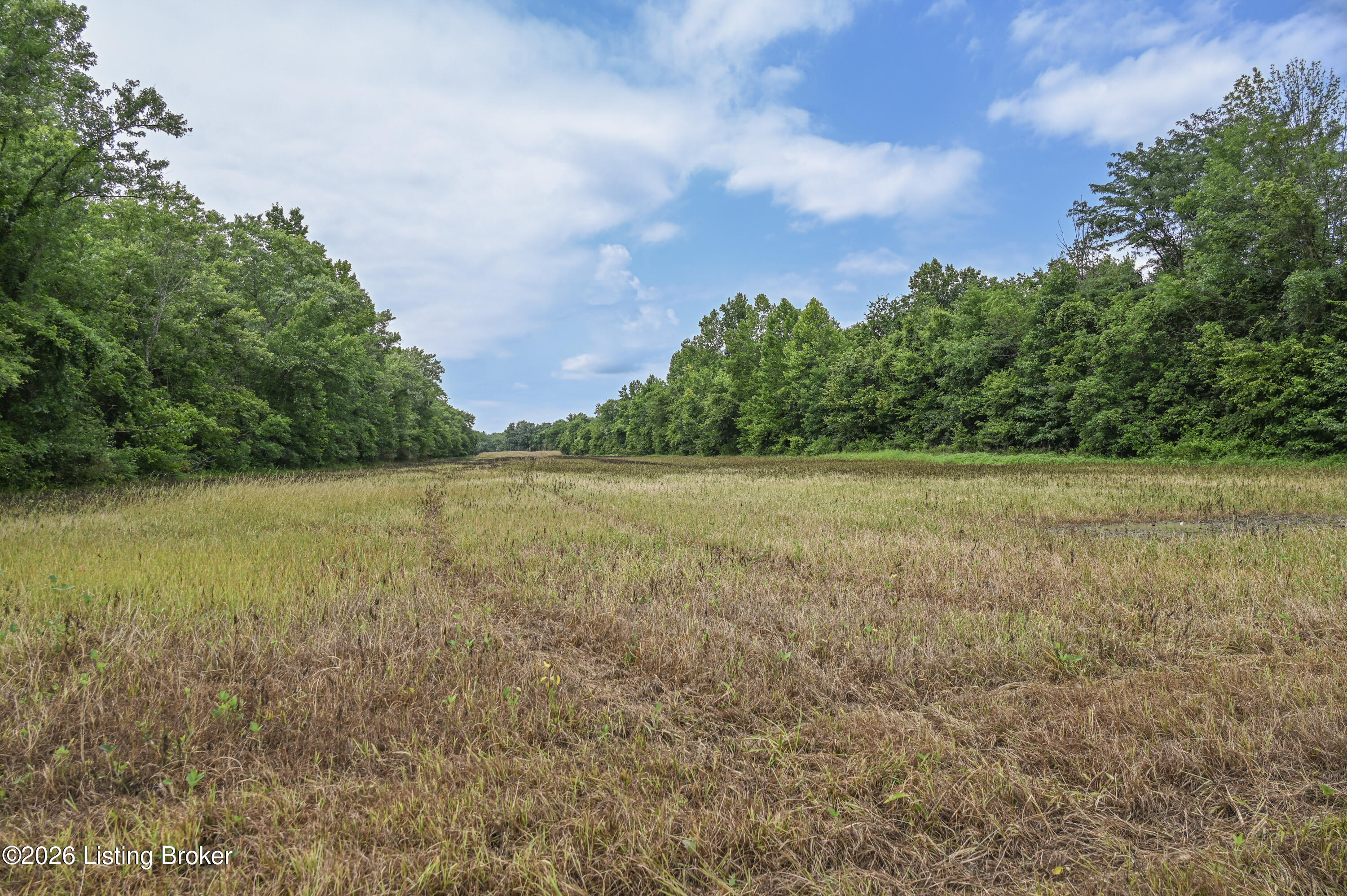 15203 Katherine Station Rd Property Photo 5