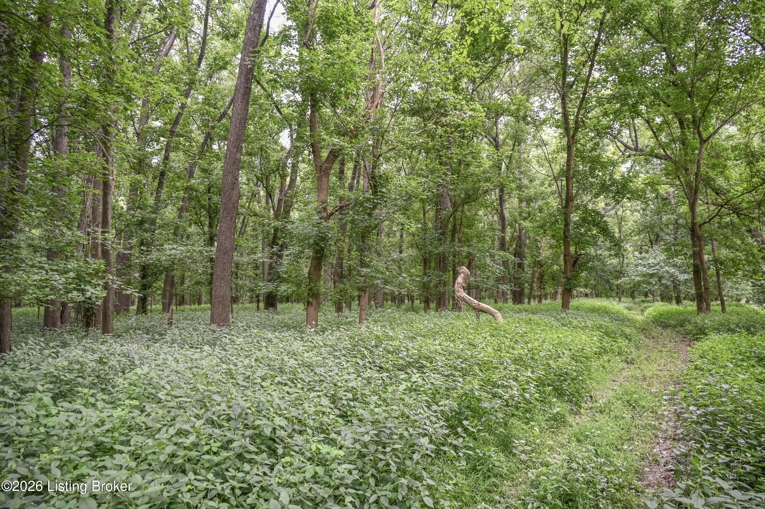 15203 Katherine Station Rd Property Photo 9