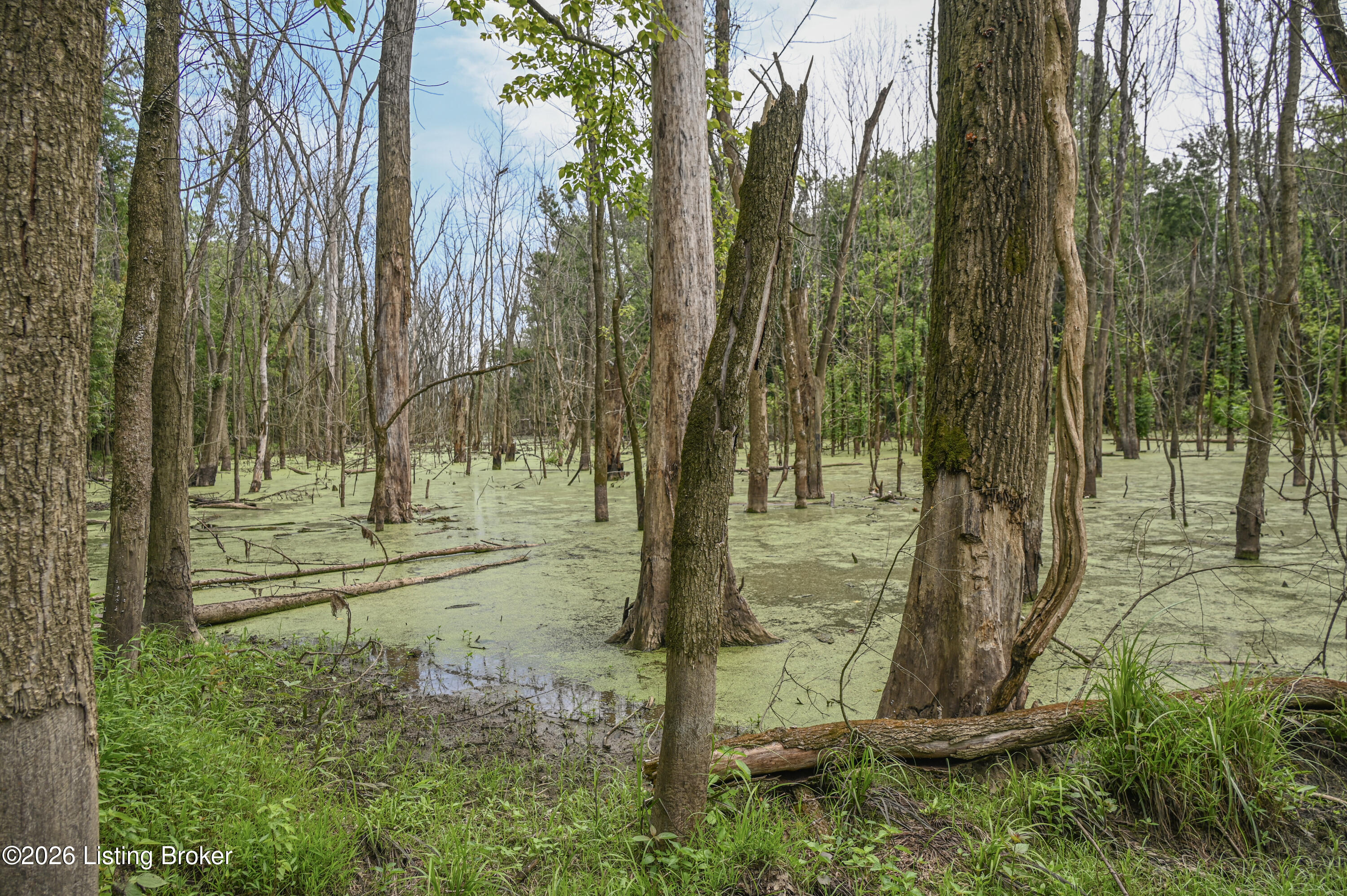 15203 Katherine Station Rd Property Photo 10