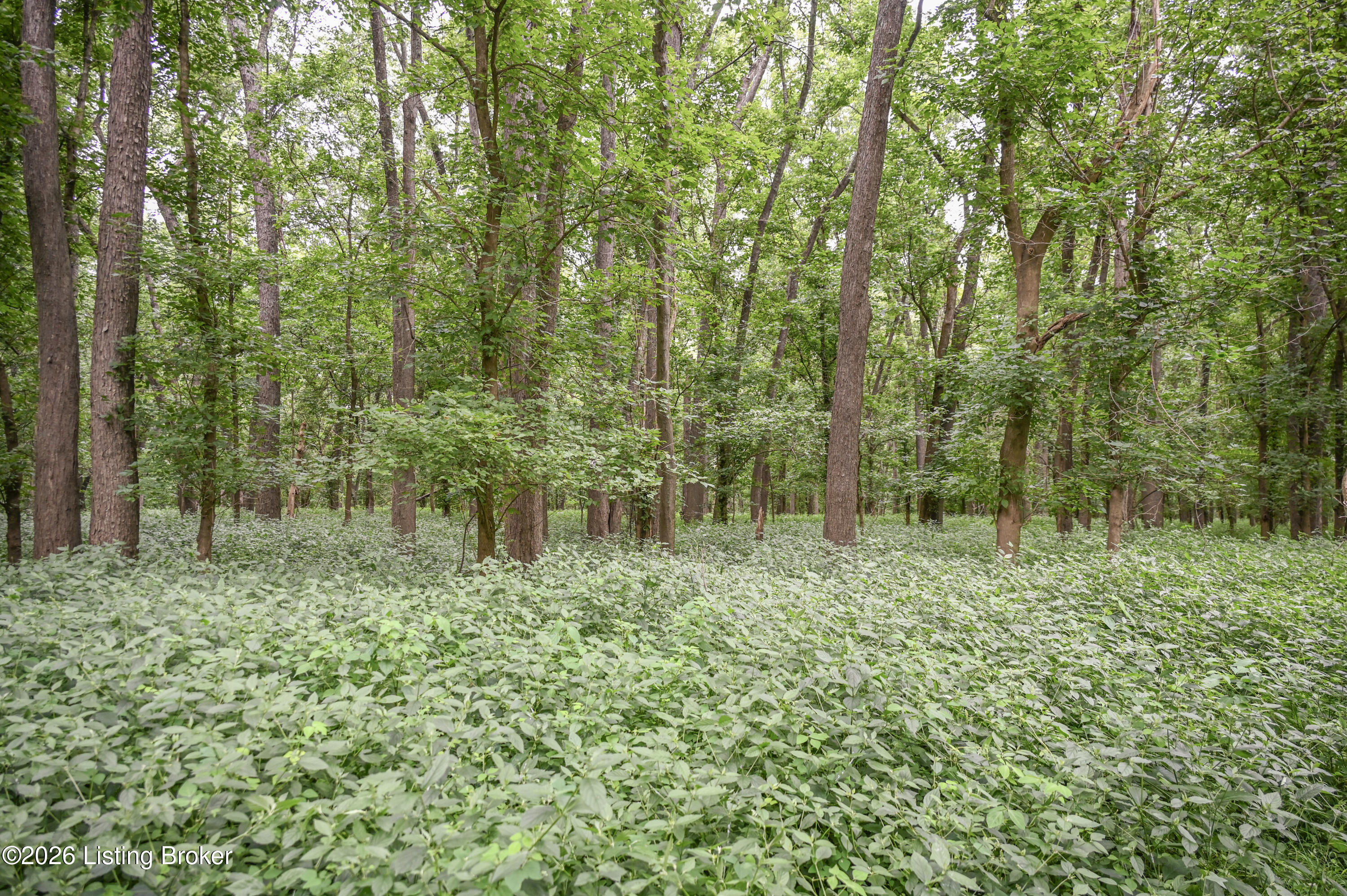 15203 Katherine Station Rd Property Photo 19