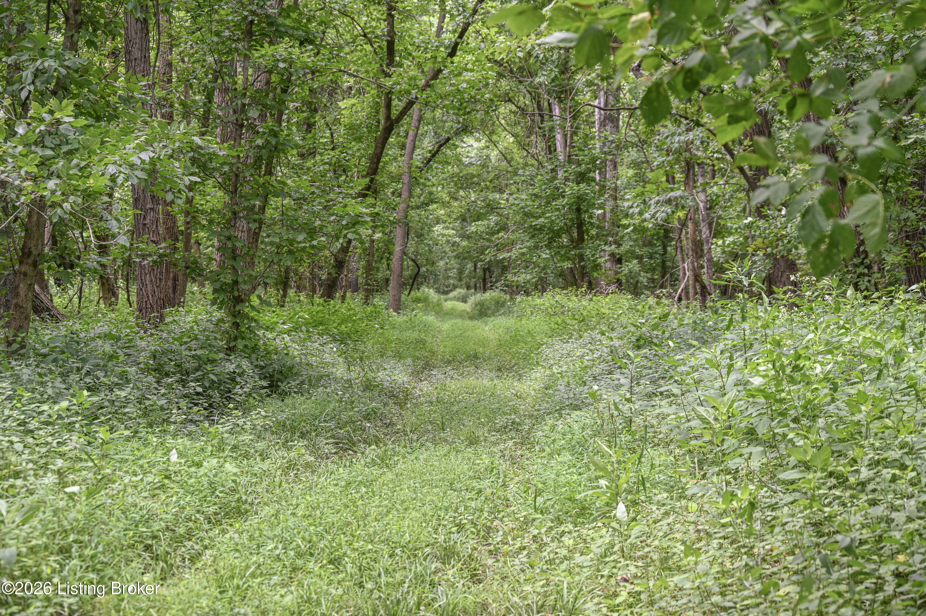 15203 Katherine Station Rd Property Photo 23
