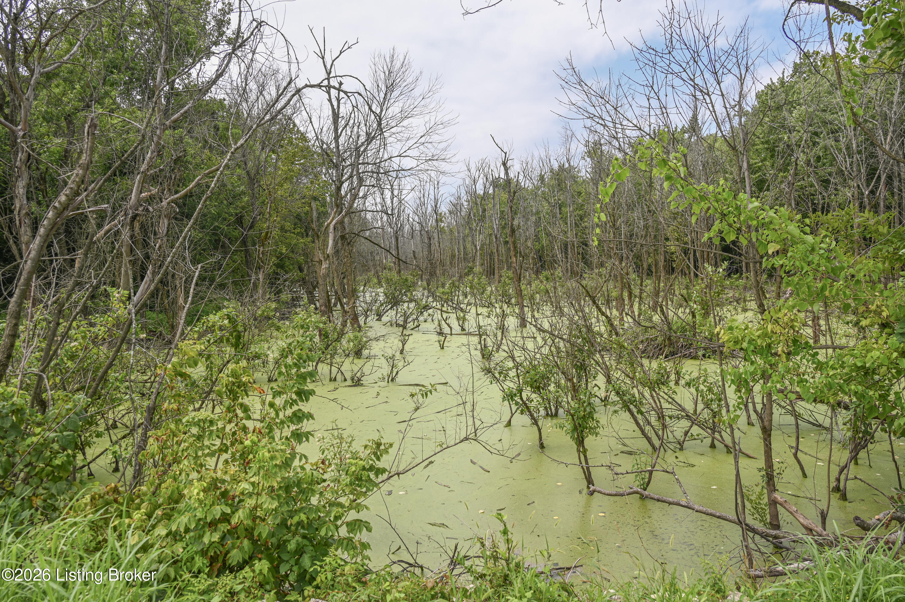 15203 Katherine Station Rd Property Photo 27