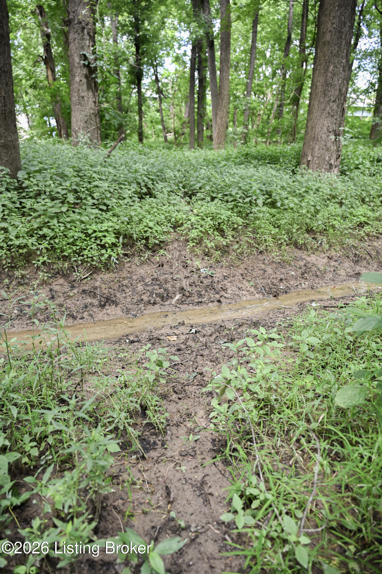 15203 Katherine Station Rd Property Photo 32