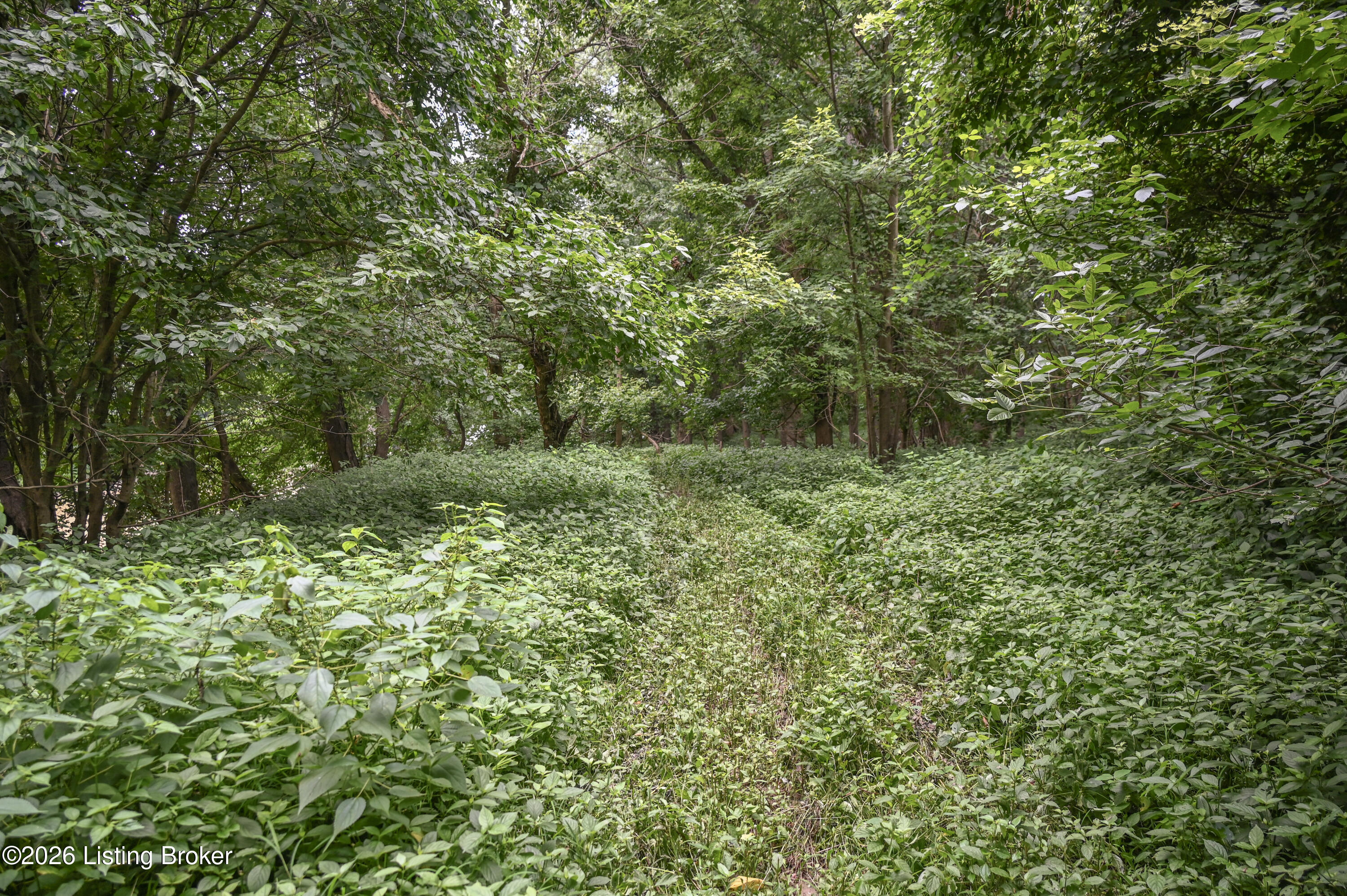 15203 Katherine Station Rd Property Photo 35