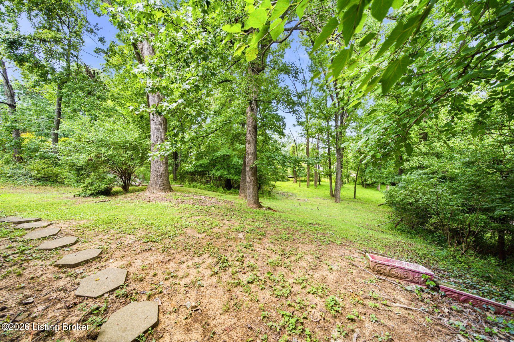 7404 Royalwood Dr Property Photo 50