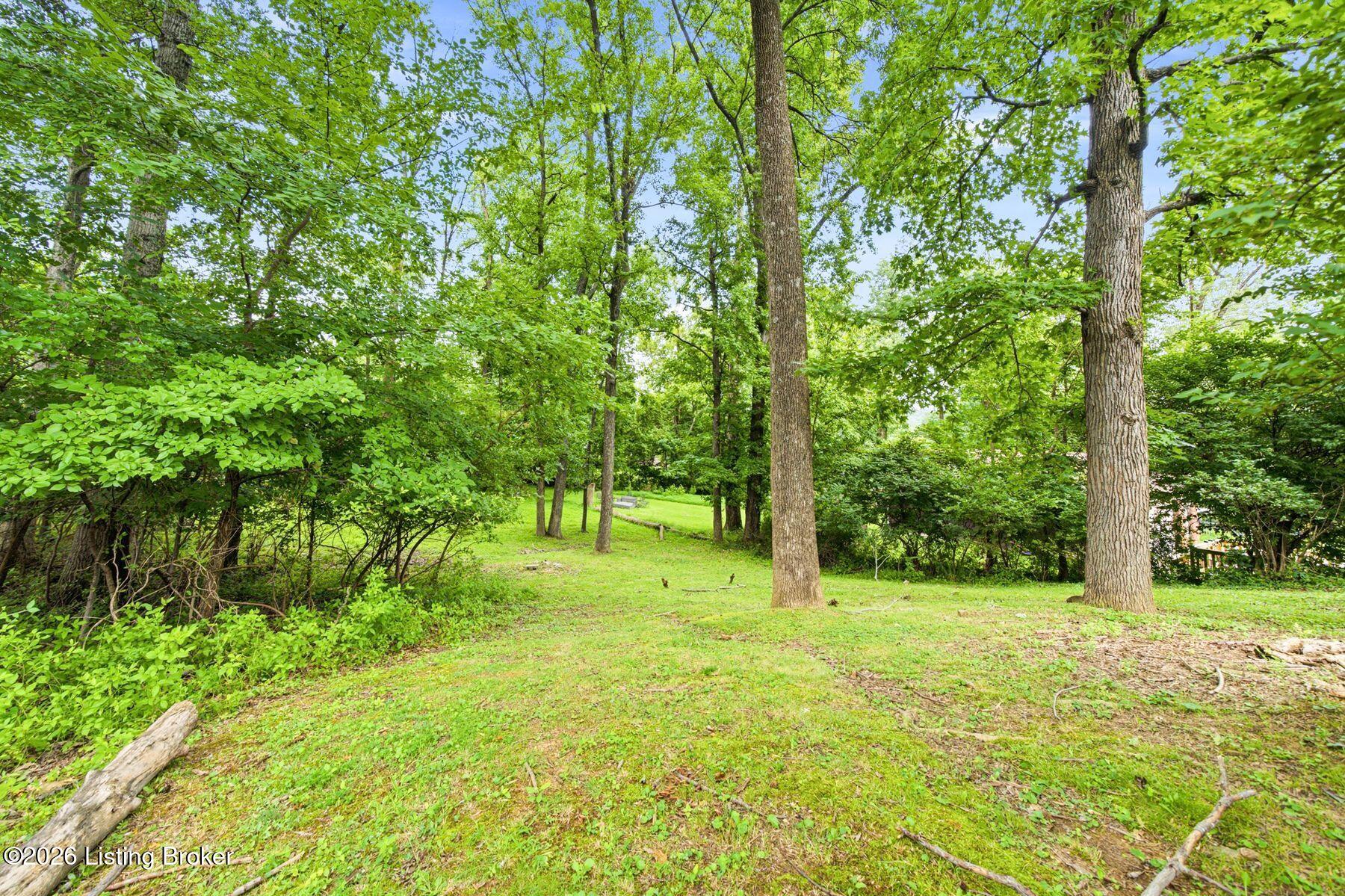 7404 Royalwood Dr Property Photo 52