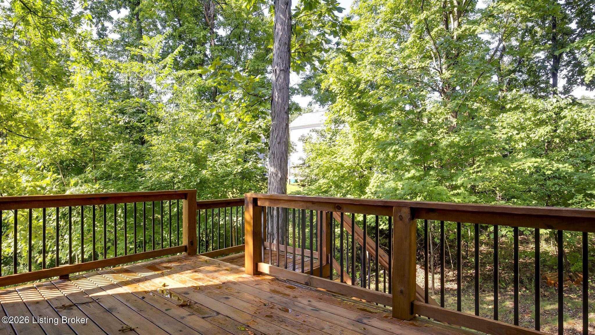 4419 Possibility Way Property Photo 45