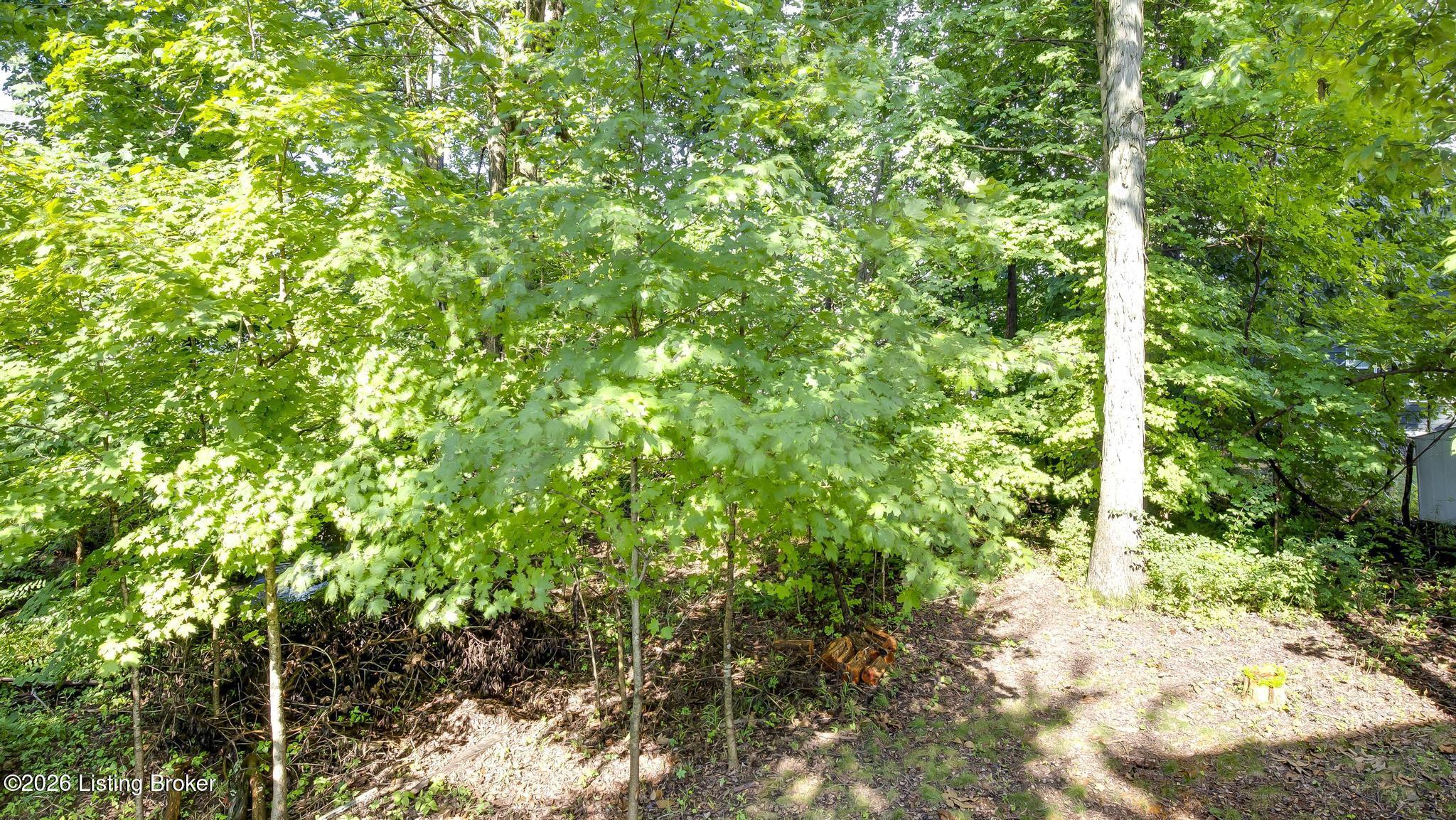 4419 Possibility Way Property Photo 48