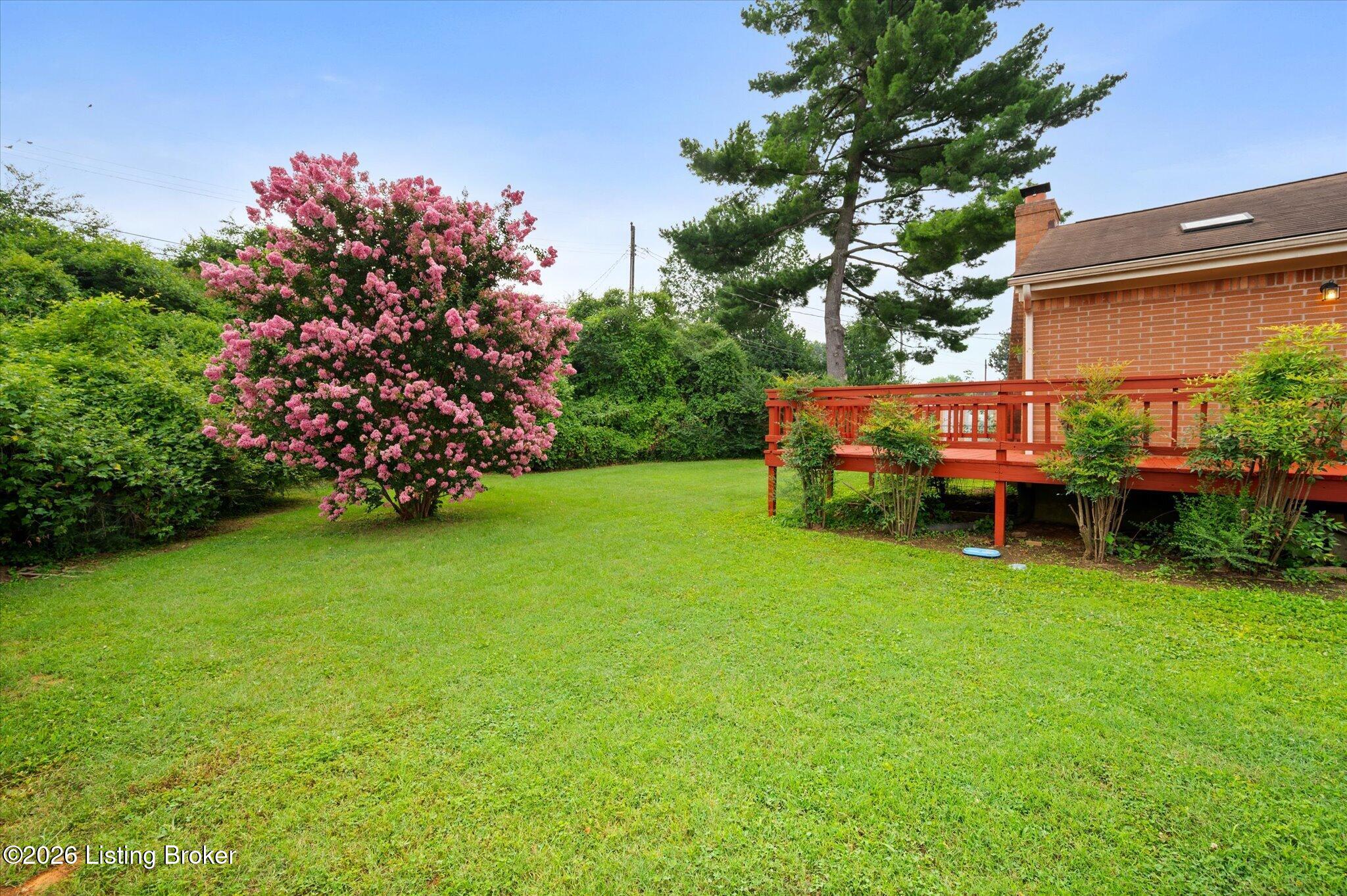 3231 Cawein Way Property Photo 19