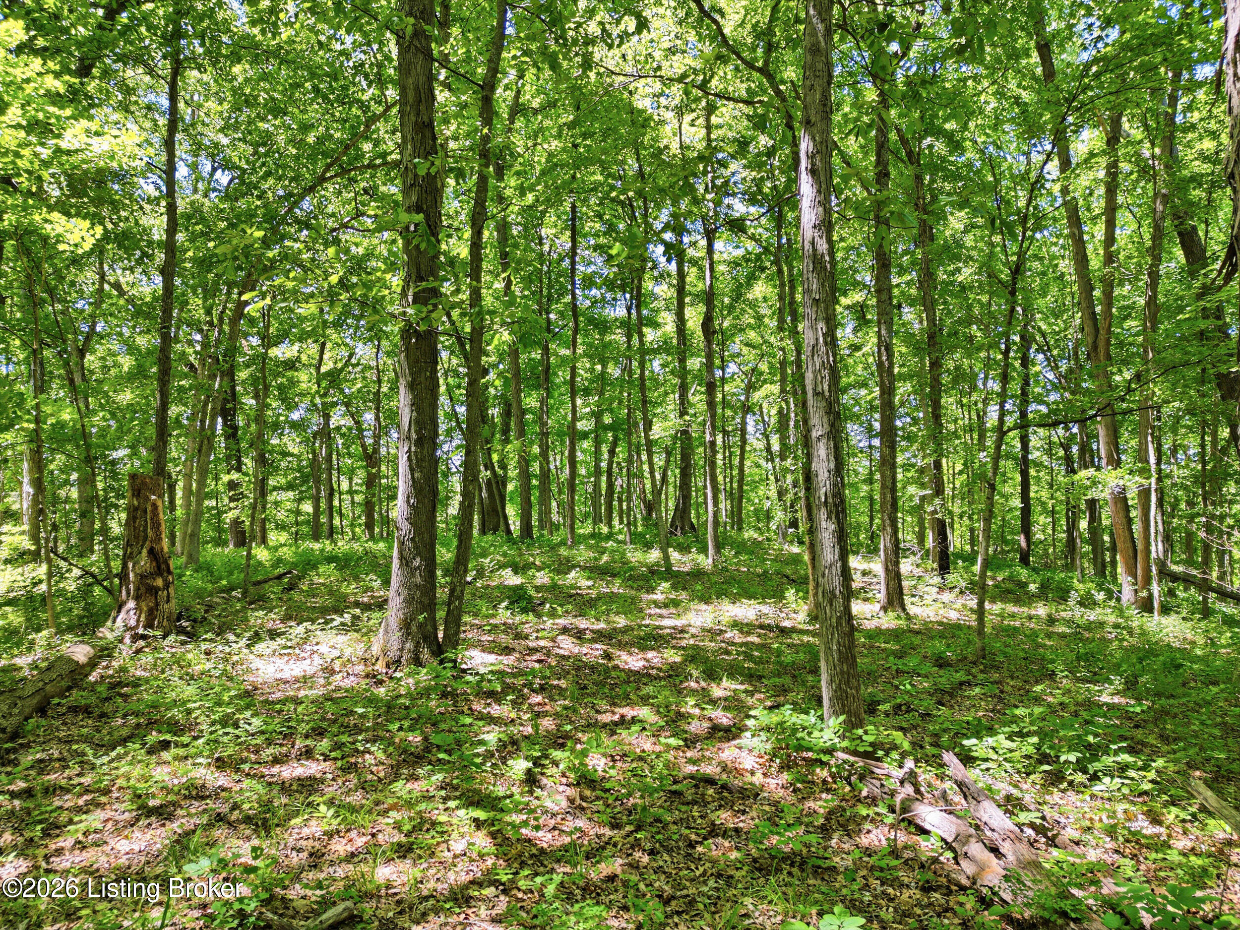 0 Dutchmans Creek Rd Property Photo 7