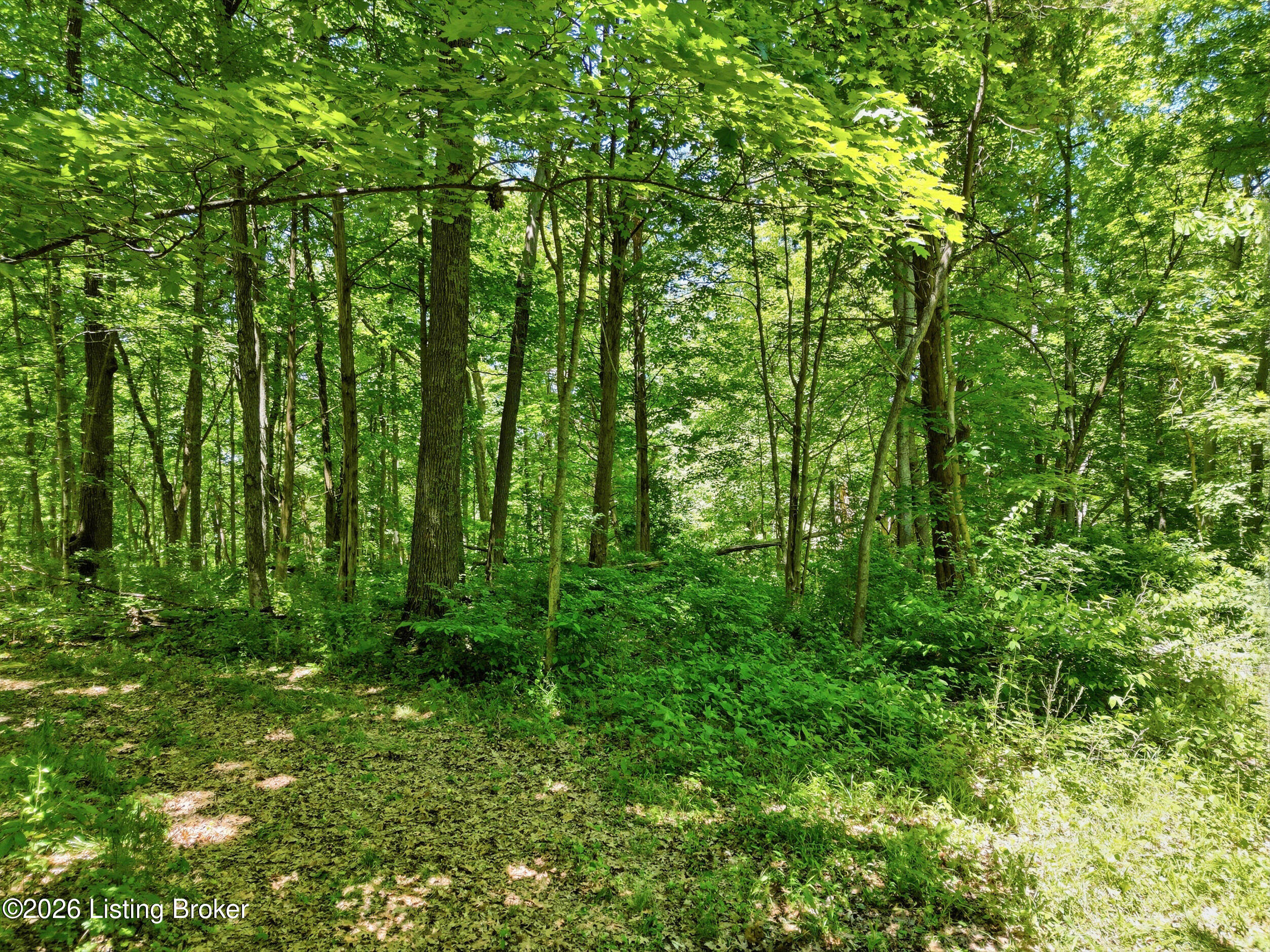 0 Dutchmans Creek Rd Property Photo 8