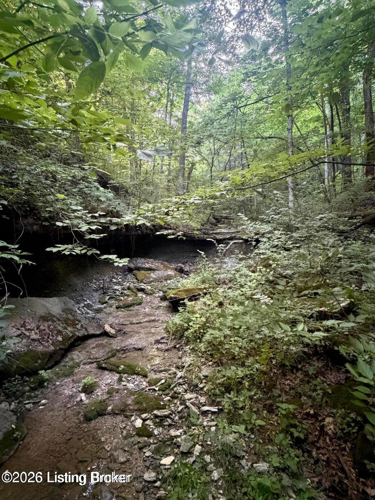 0 Dutchmans Creek Rd Property Photo 9