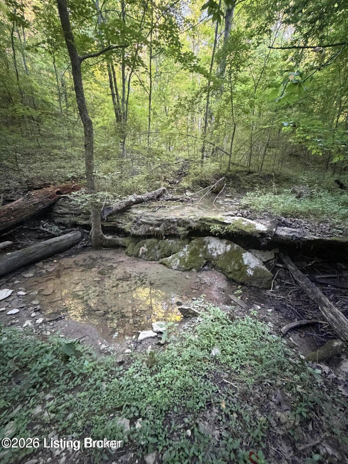 0 Dutchmans Creek Rd Property Photo 10