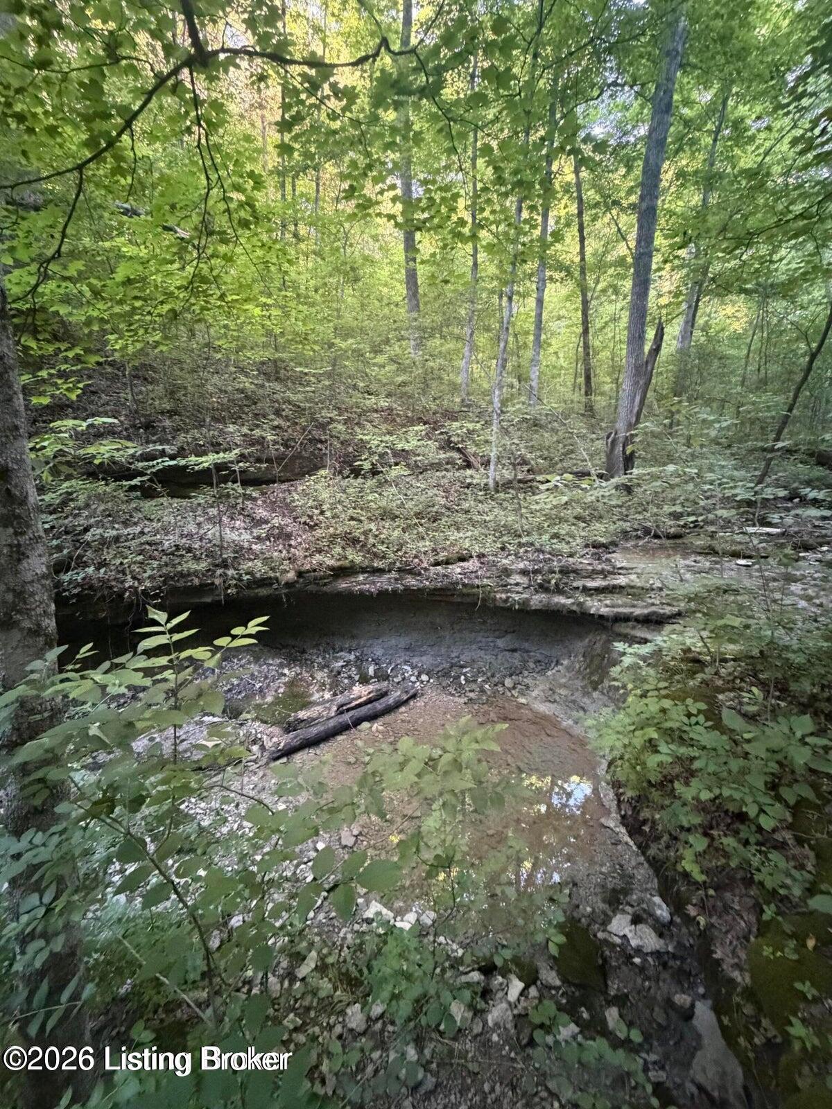 0 Dutchmans Creek Rd Property Photo 11