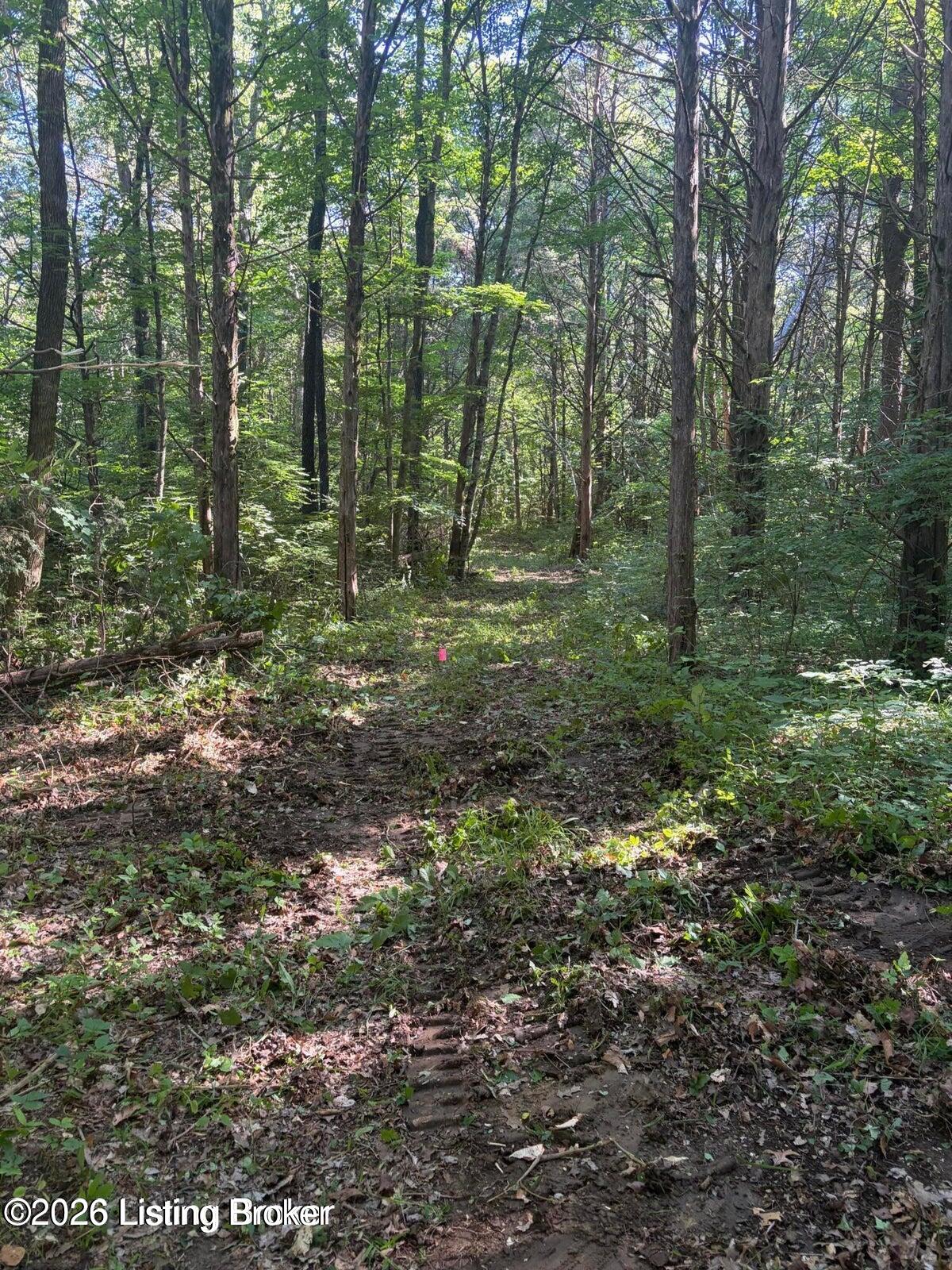0 Dutchmans Creek Rd Property Photo 13