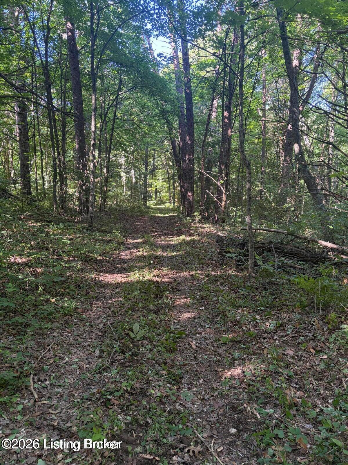 0 Dutchmans Creek Rd Property Photo 14