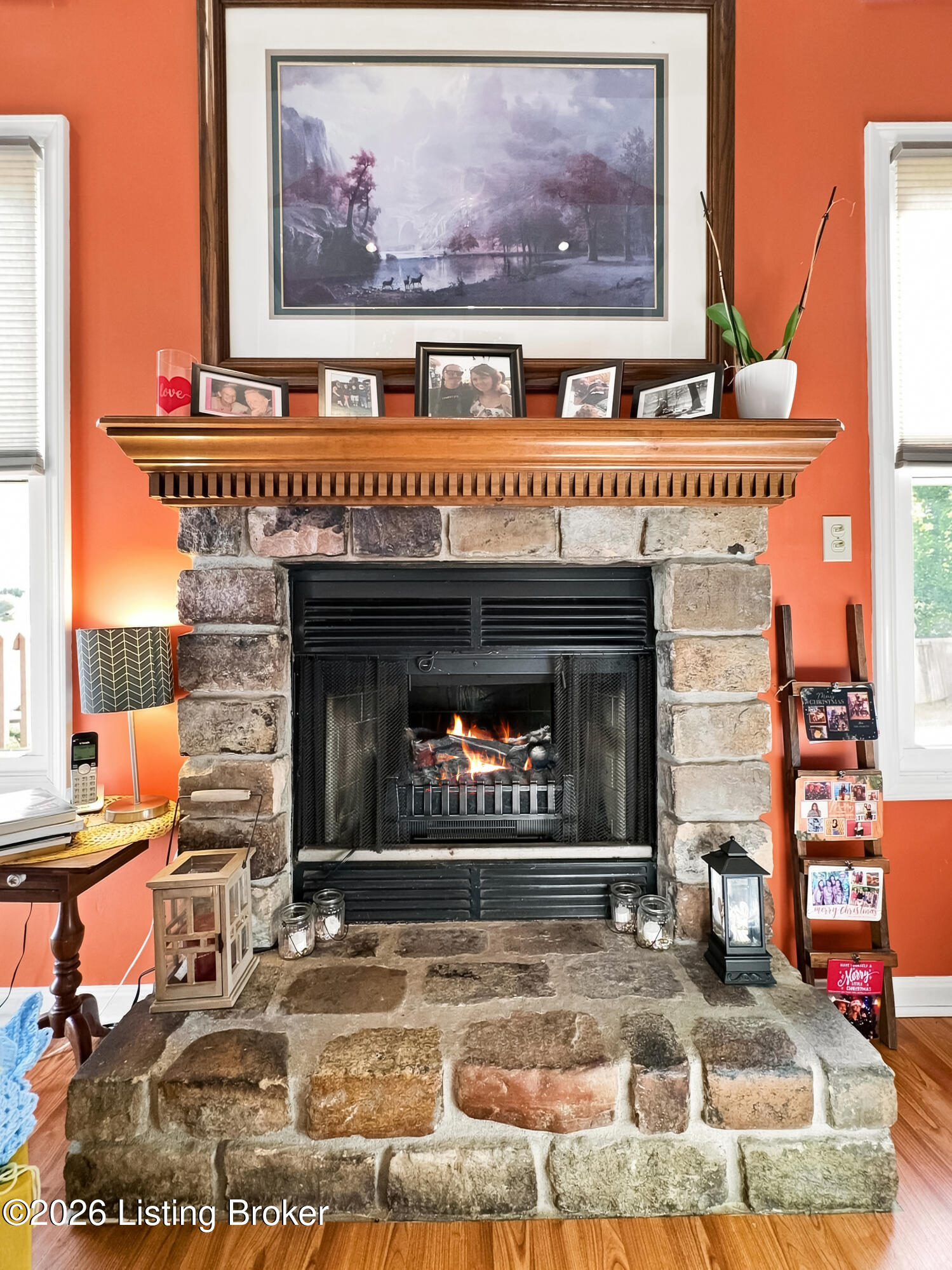181 Spring Lake Ct Property Photo 11