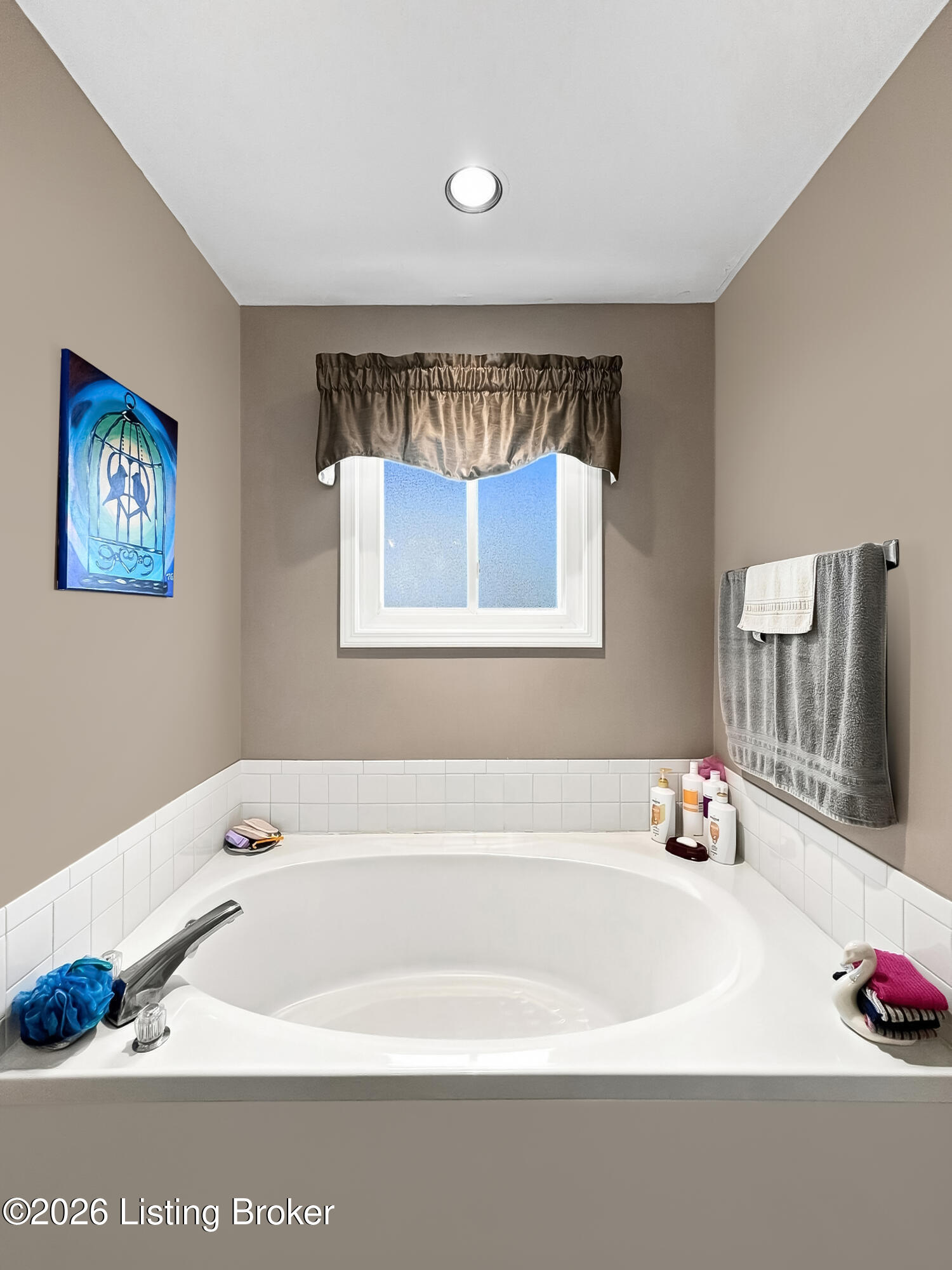 181 Spring Lake Ct Property Photo 24