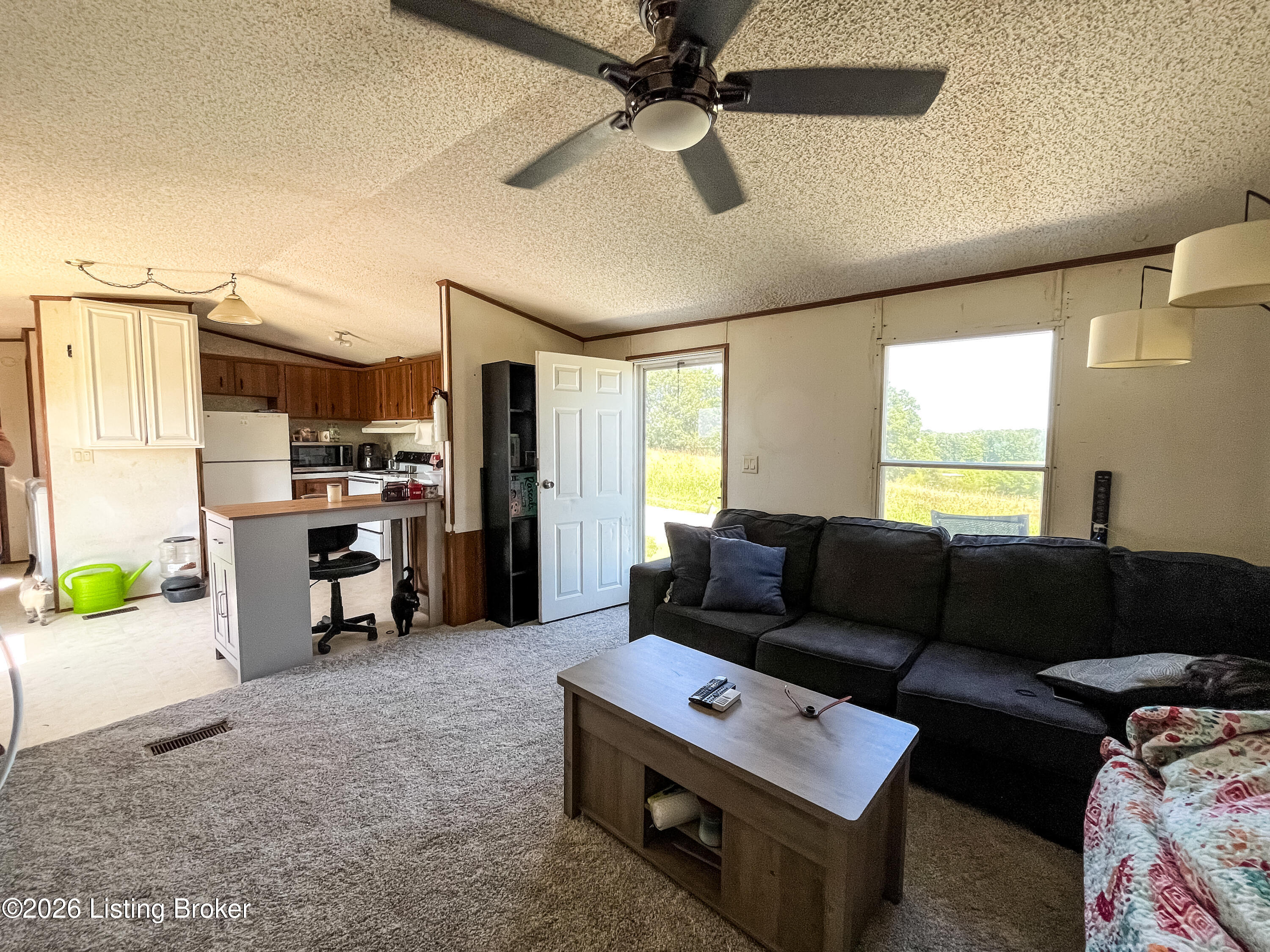 673 Doctor Cheal Rd Property Photo 101