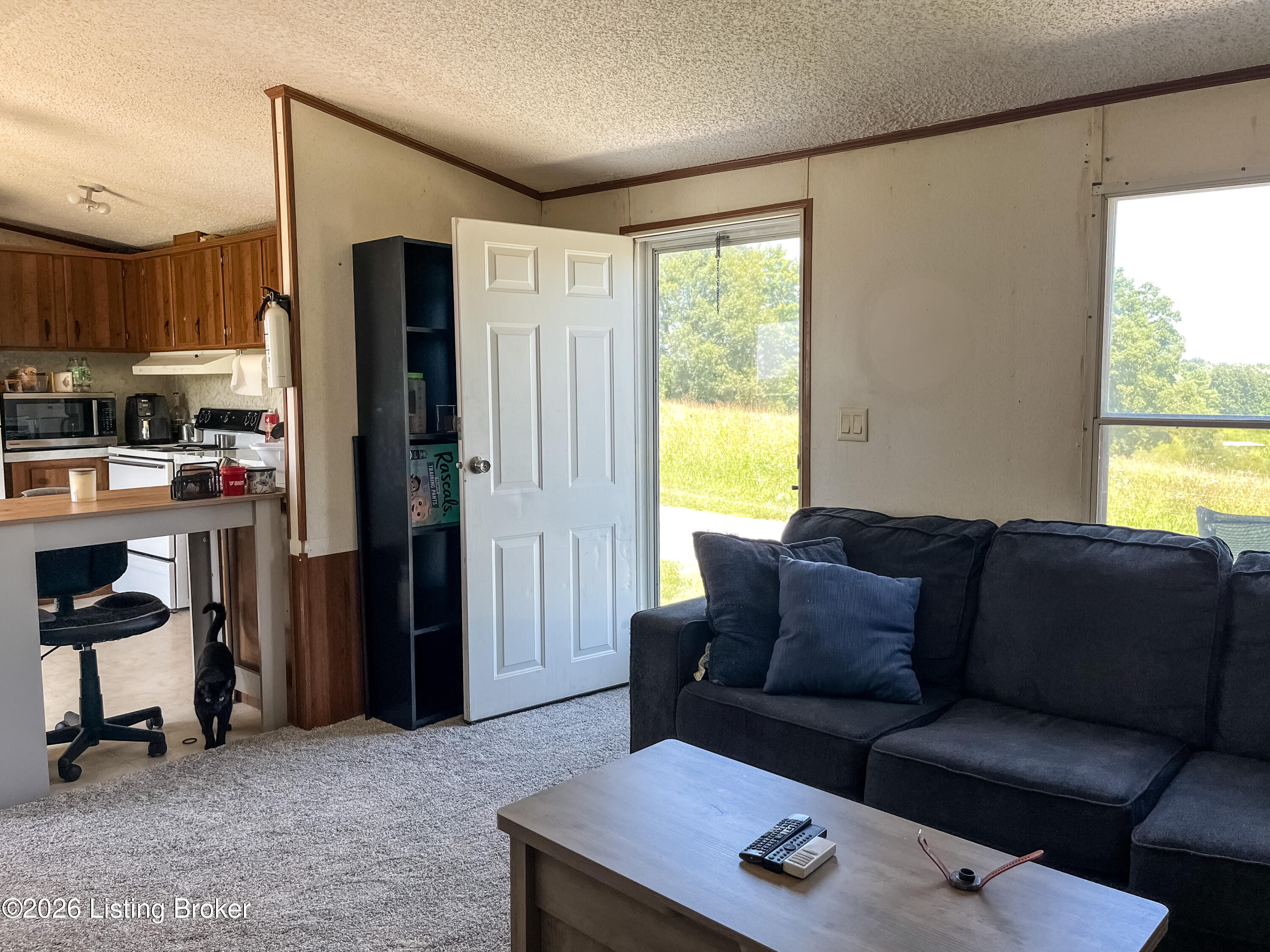 673 Doctor Cheal Rd Property Photo 102