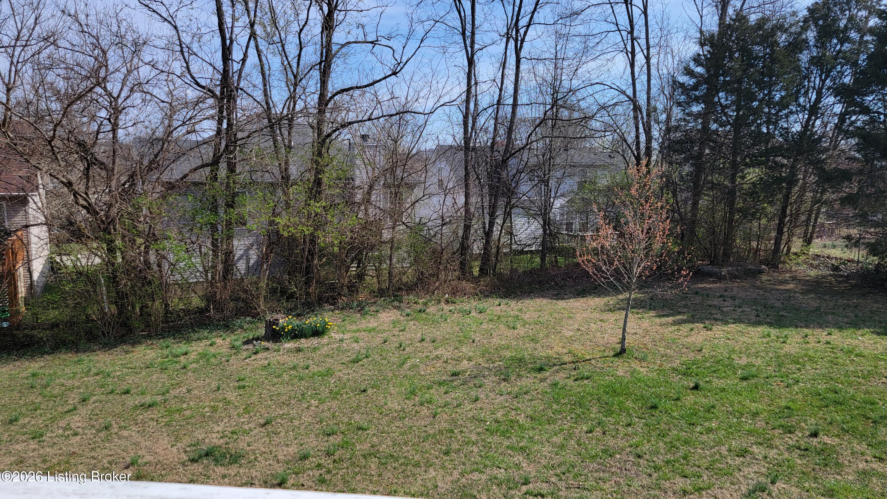 10313 Chimney Ridge Ct Property Photo 30