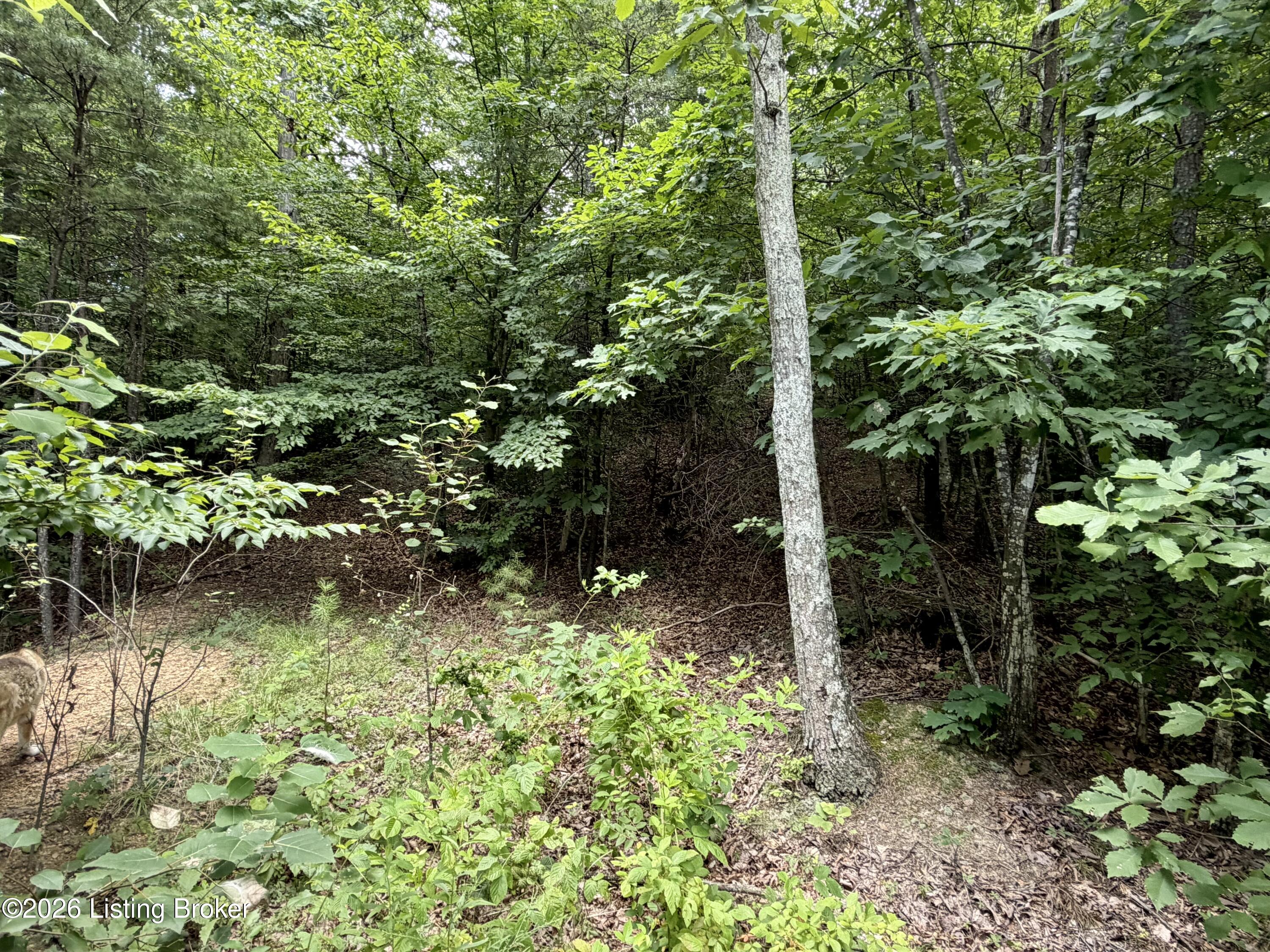 1176 Wilson Run Rd Property Photo 62